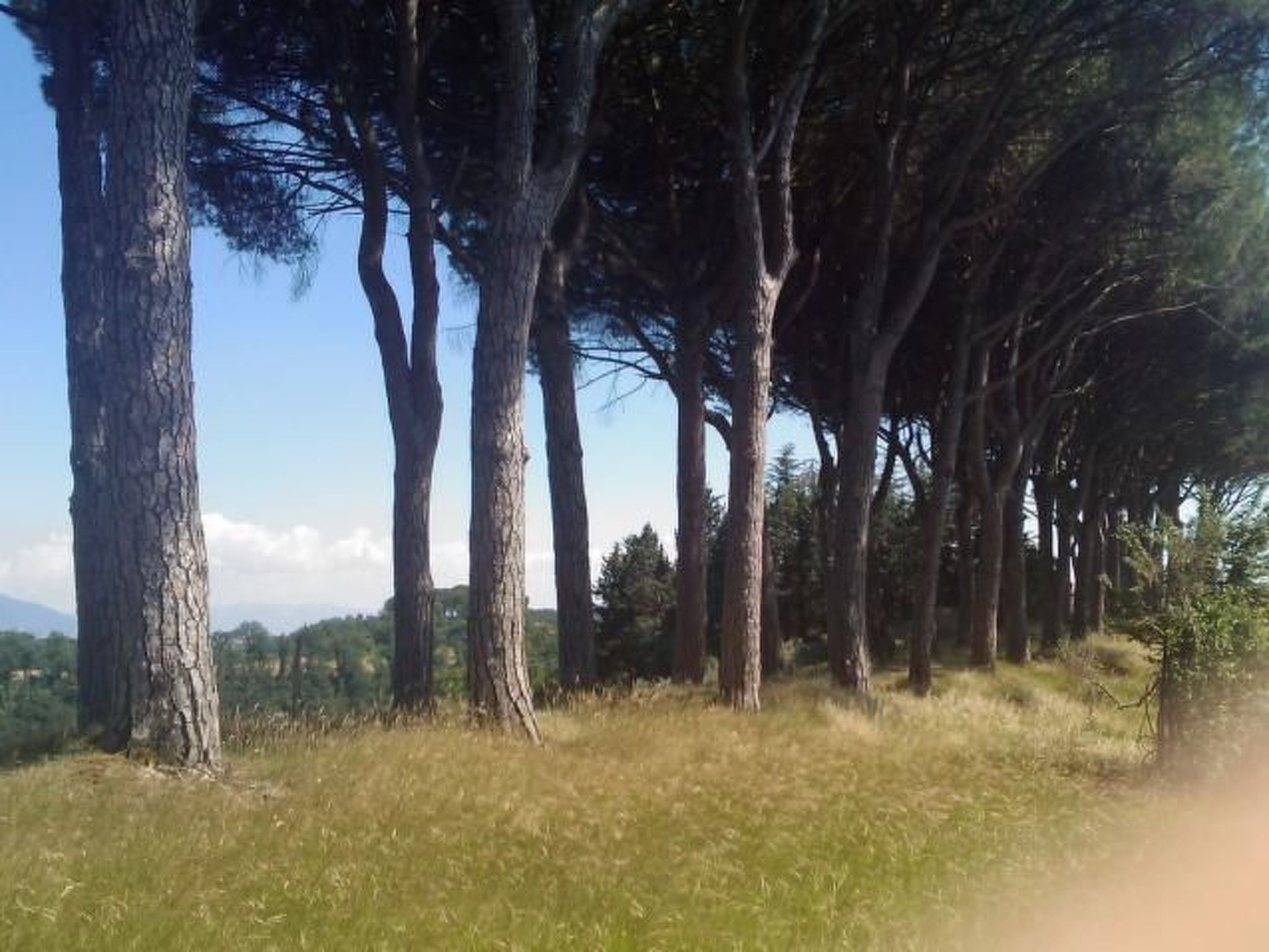 Ferienapartment Baita-Binnen