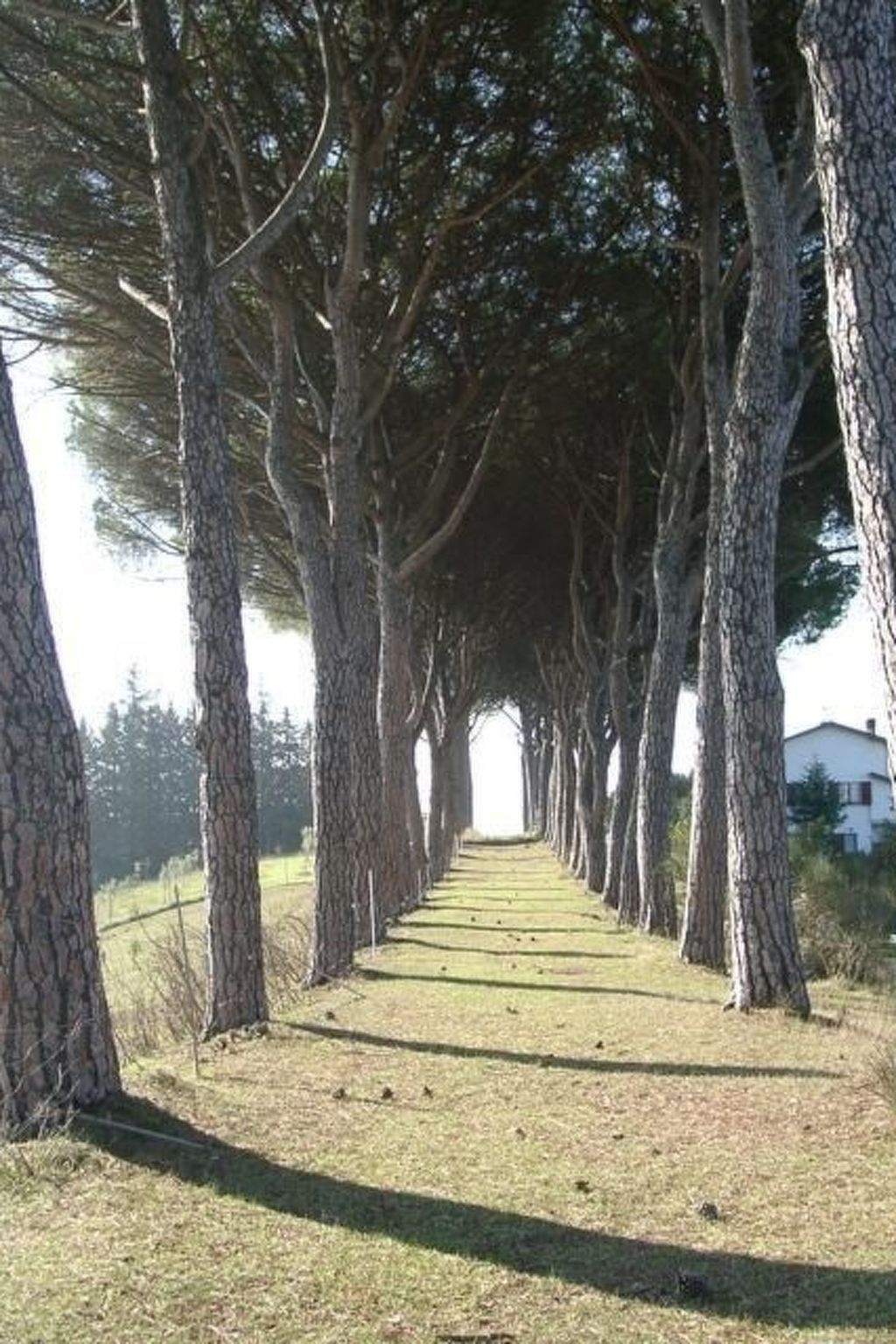 Ferienapartment Baita-Binnen