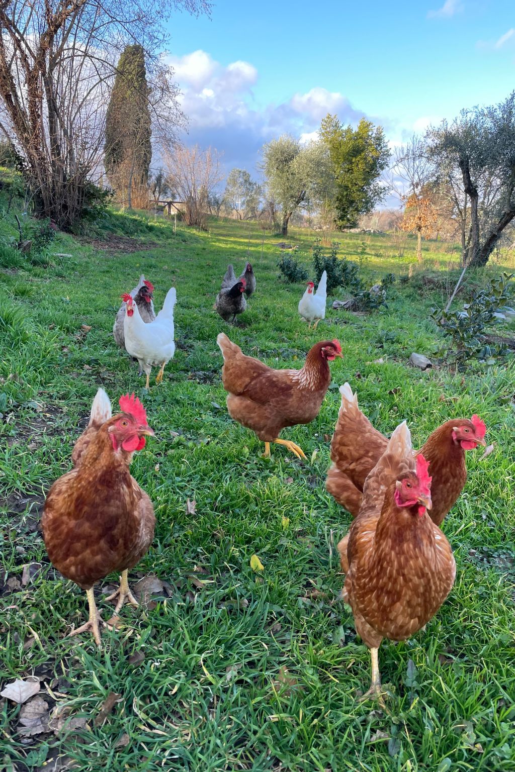 'Merula Antica Dimora'-Binnen