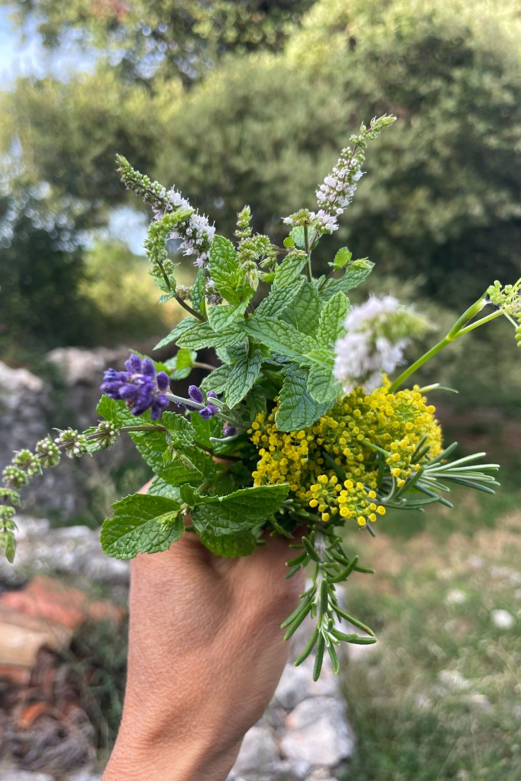 'Merula Antica Dimora'-Binnen