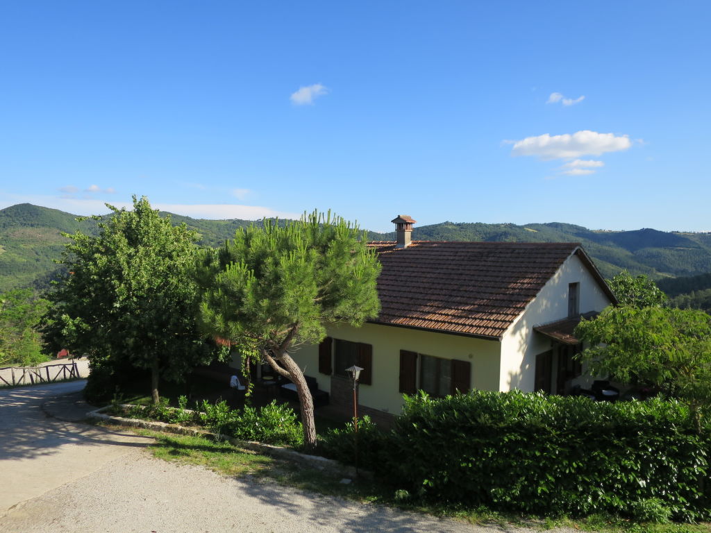 Bild 13