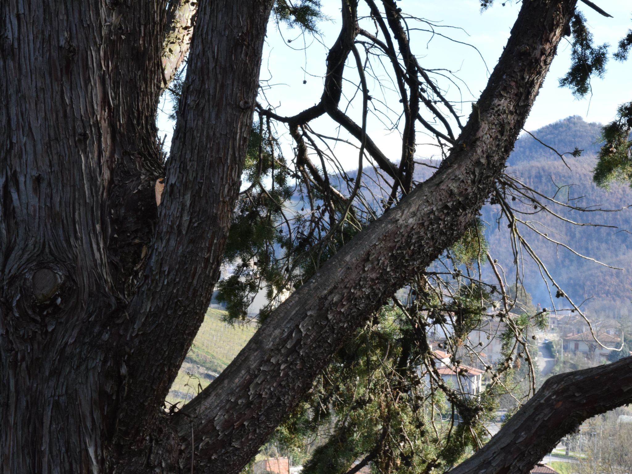 Ferienvilla 'La Speranza' mit privatem Garten-Binnen