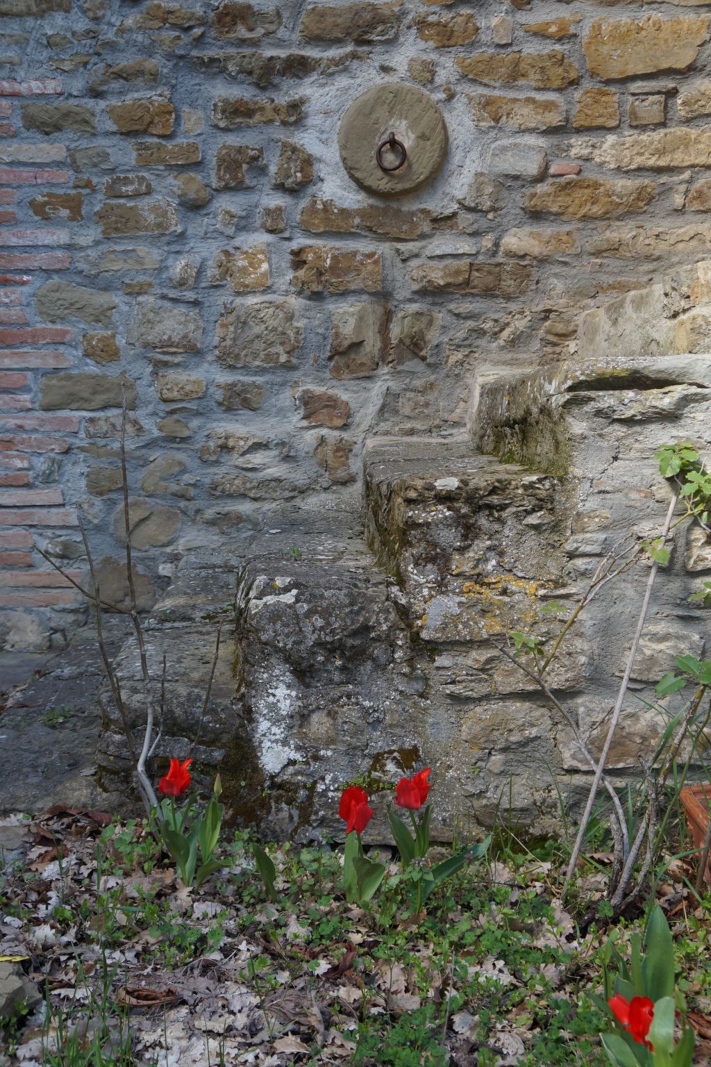 Ferienvilla 'La Speranza' mit privatem Garten