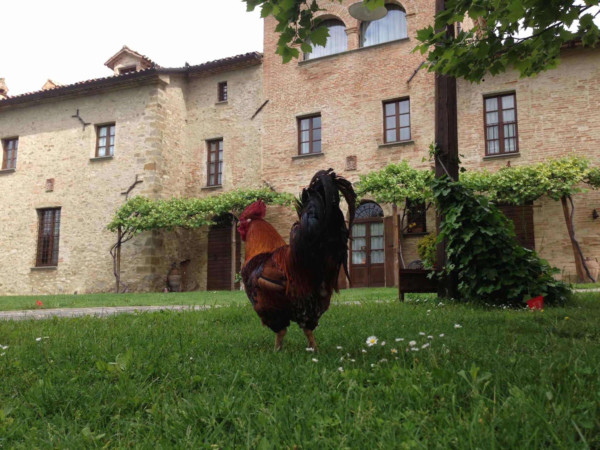 Altes Kloster und eleganter Landsitz-Binnen