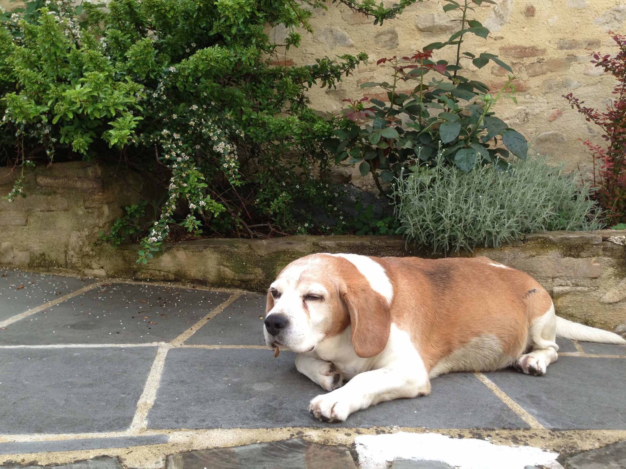 Altes Kloster und eleganter Landsitz-Binnen