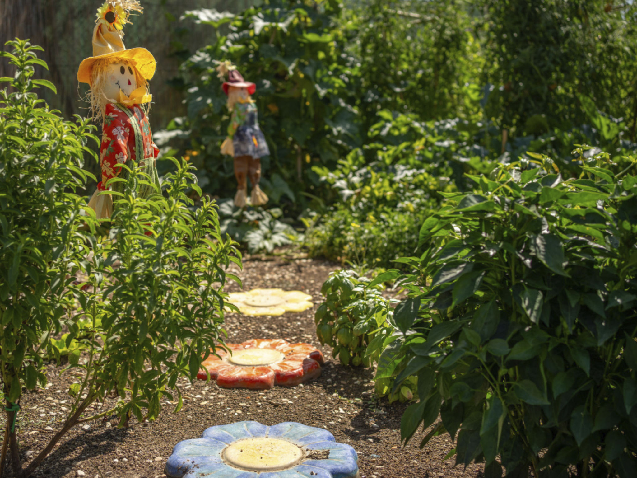 'Hortus la azurra'-Dedans