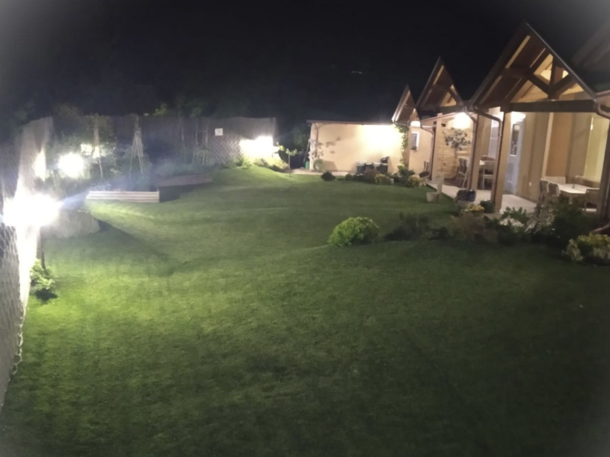 'Messis la gialla'-Dedans