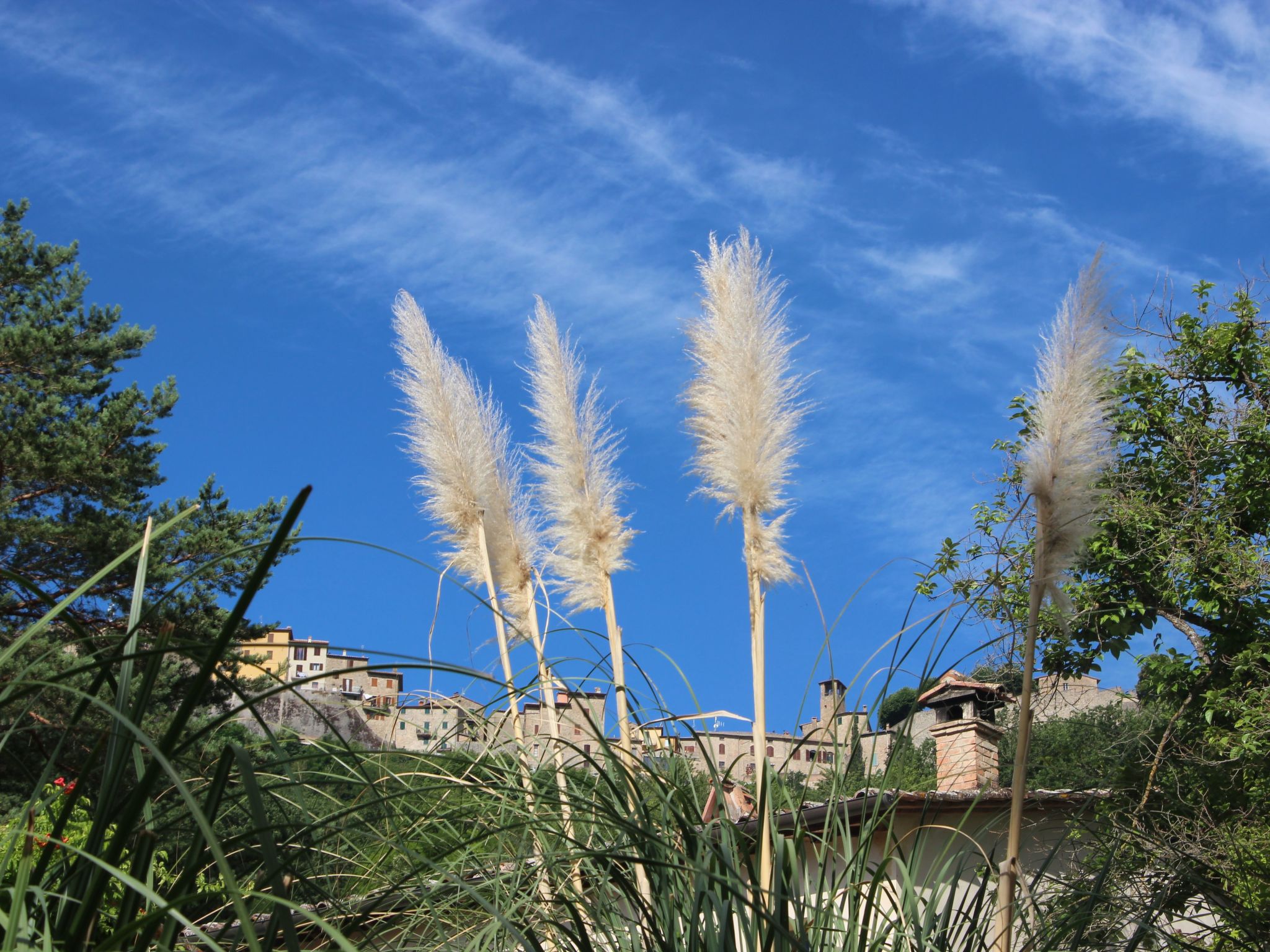 Ariete-Image-tags.info