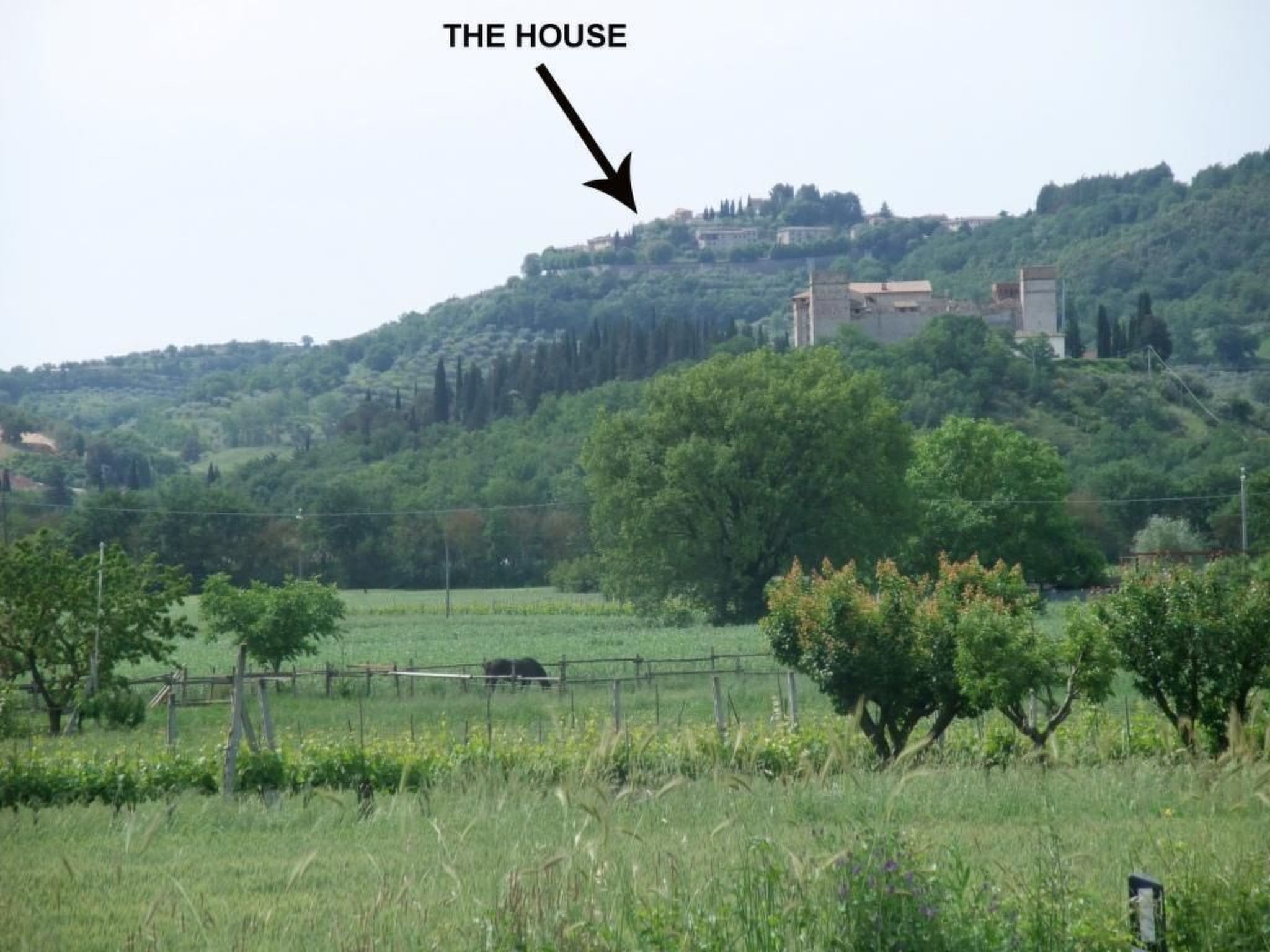 Altes Steinhaus mit Garten-Binnen