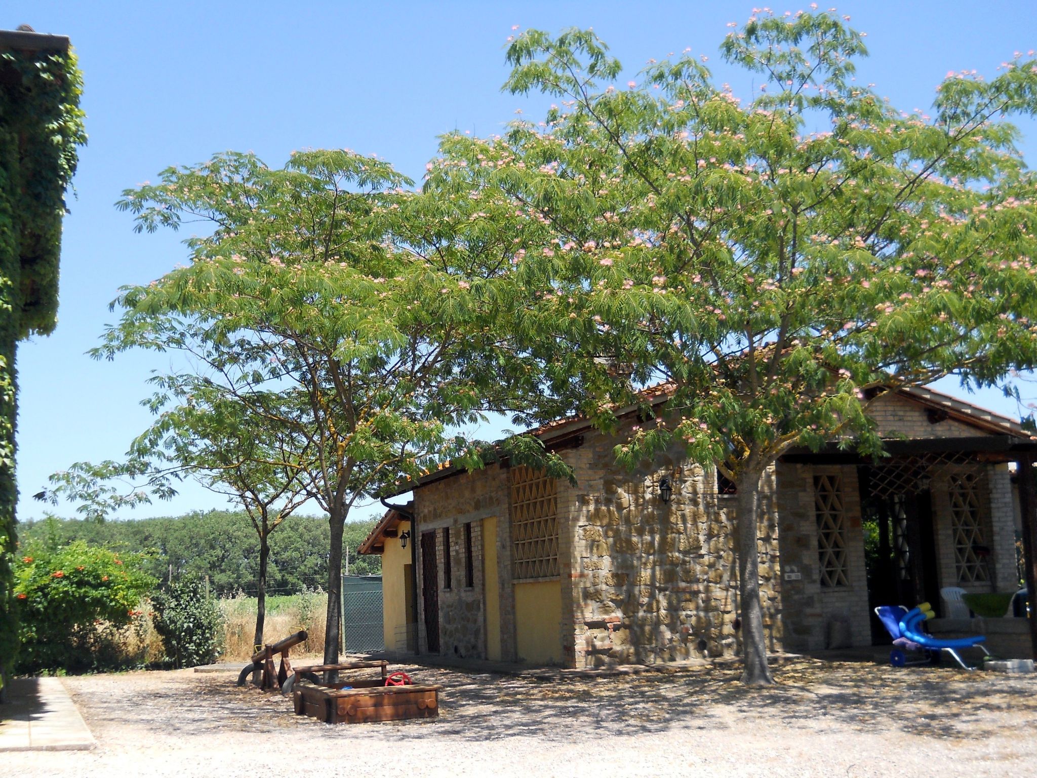 Ferienhaus mit umzäuntem Garten in Torgiano (Italien) und 1 Hund erlaubt
