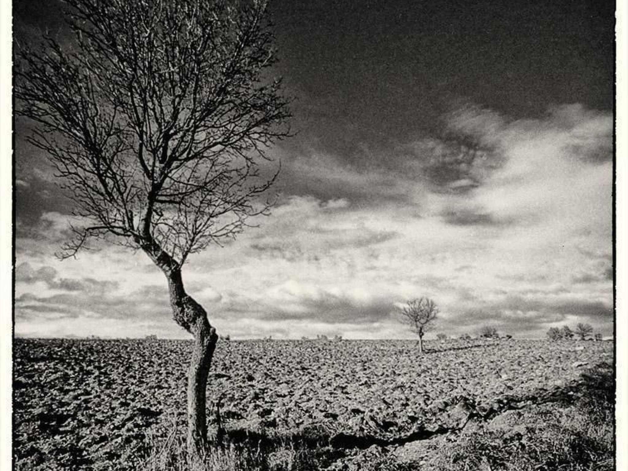 Il Melograno Panoramahaus-Binnen