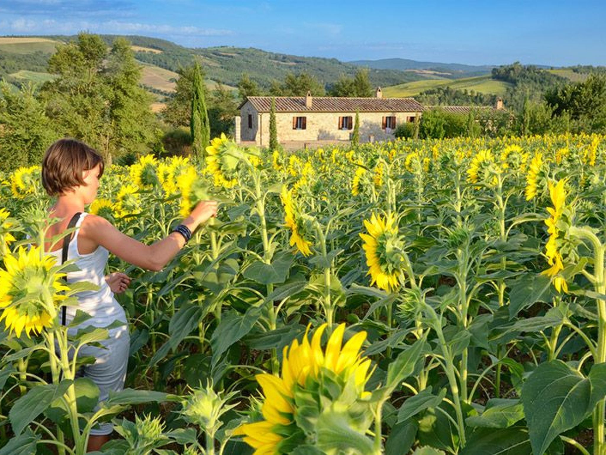Il Melograno Panoramahaus-Binnen