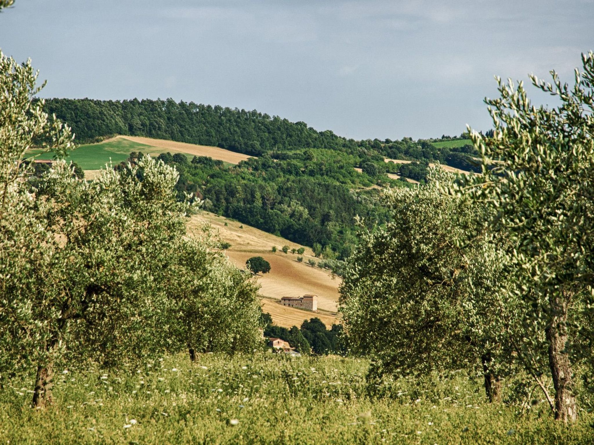 Il Melograno Panoramahaus-Binnen