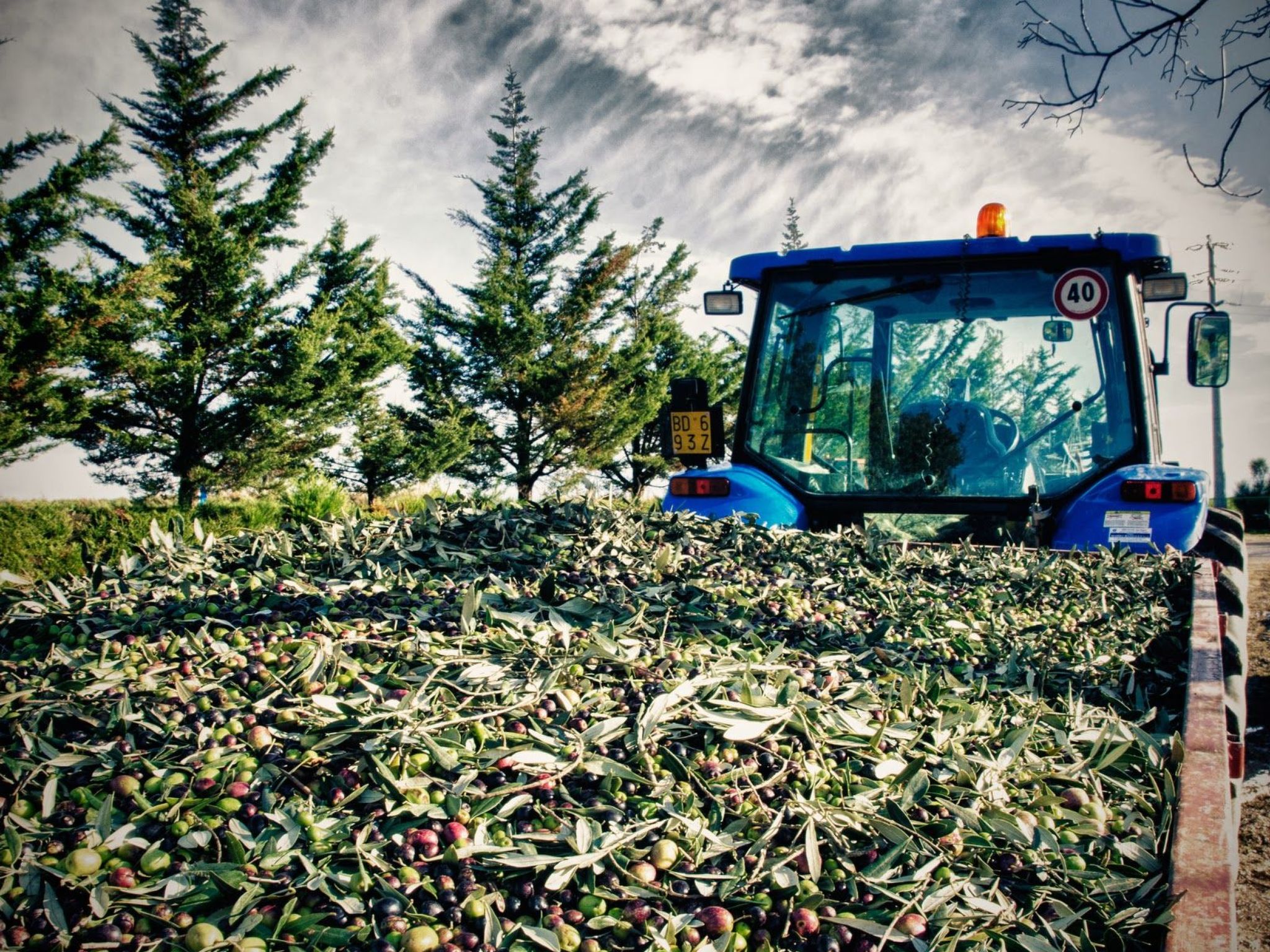 Il Melograno Panoramahaus-Binnen