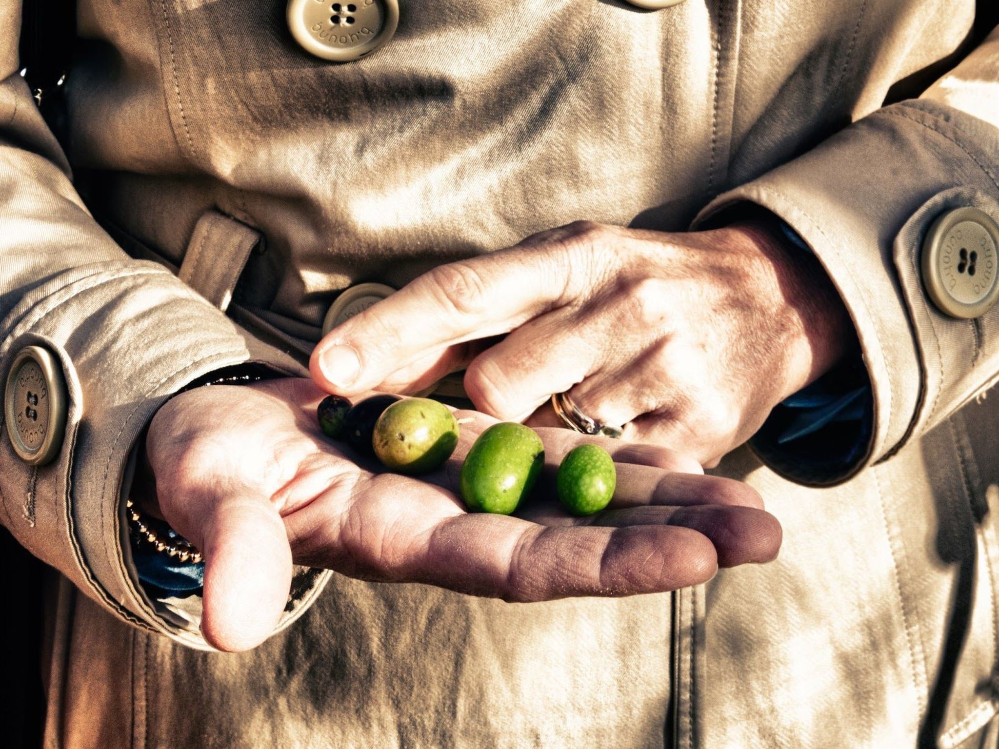 Il Melograno Panoramahaus-Binnen