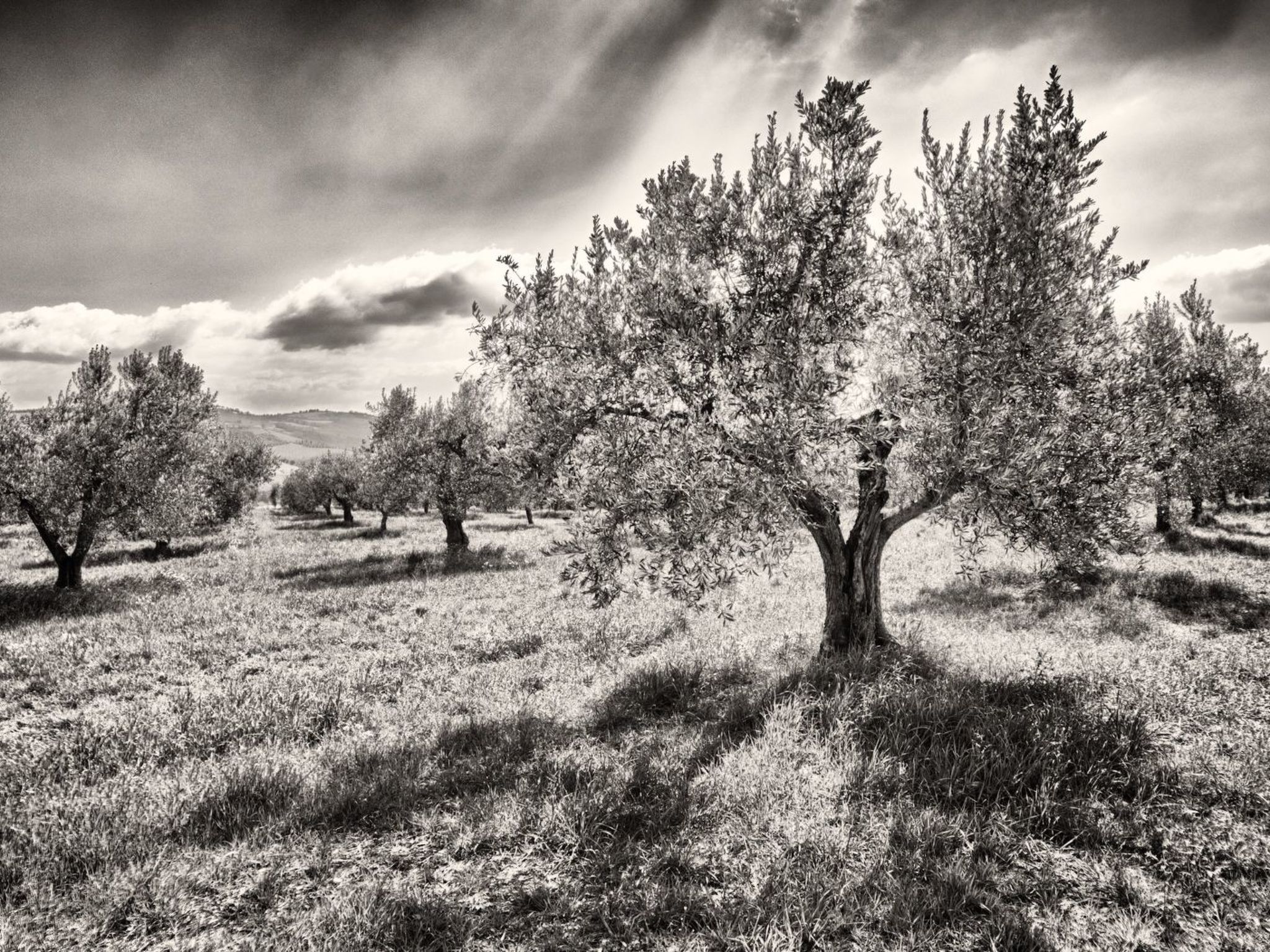 Il Melograno Panoramahaus-Binnen