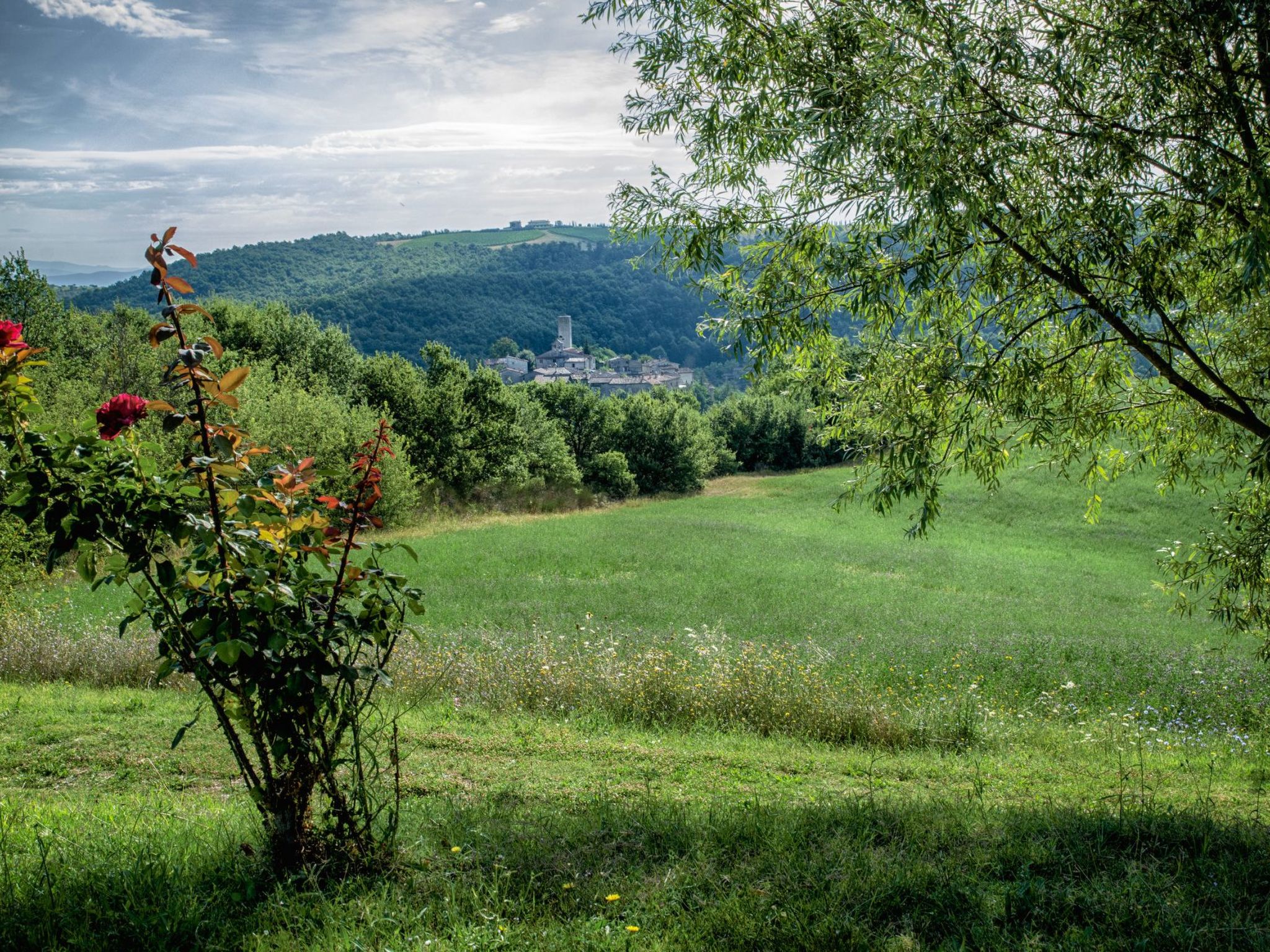 Il Melograno Panoramahaus-Binnen