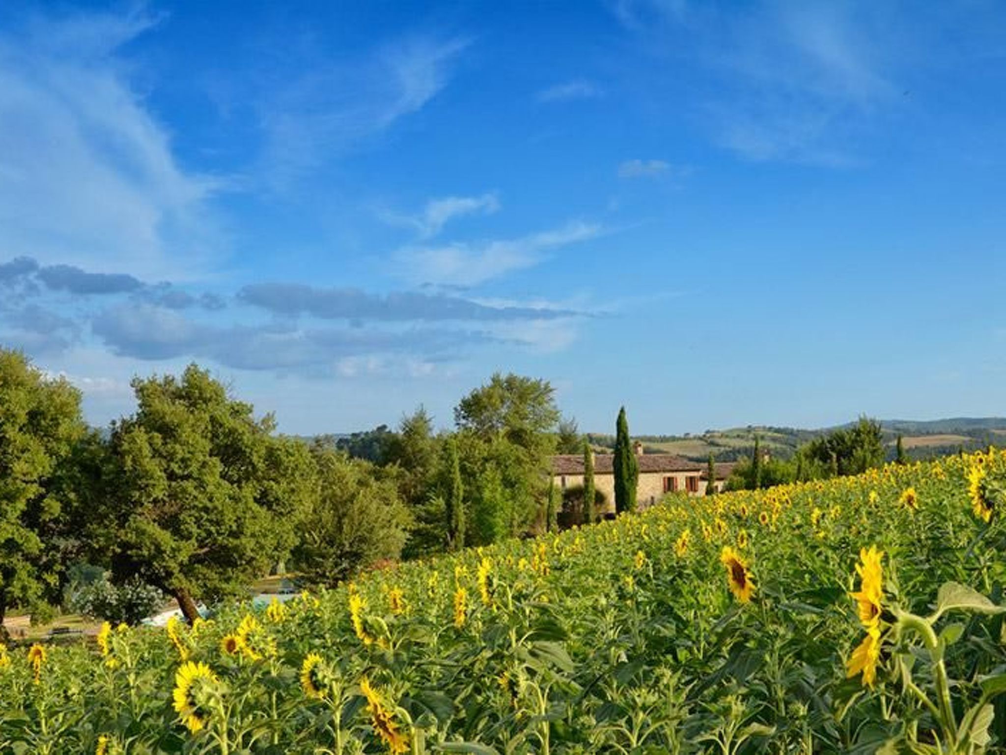 Il Melograno Panoramahaus-Binnen