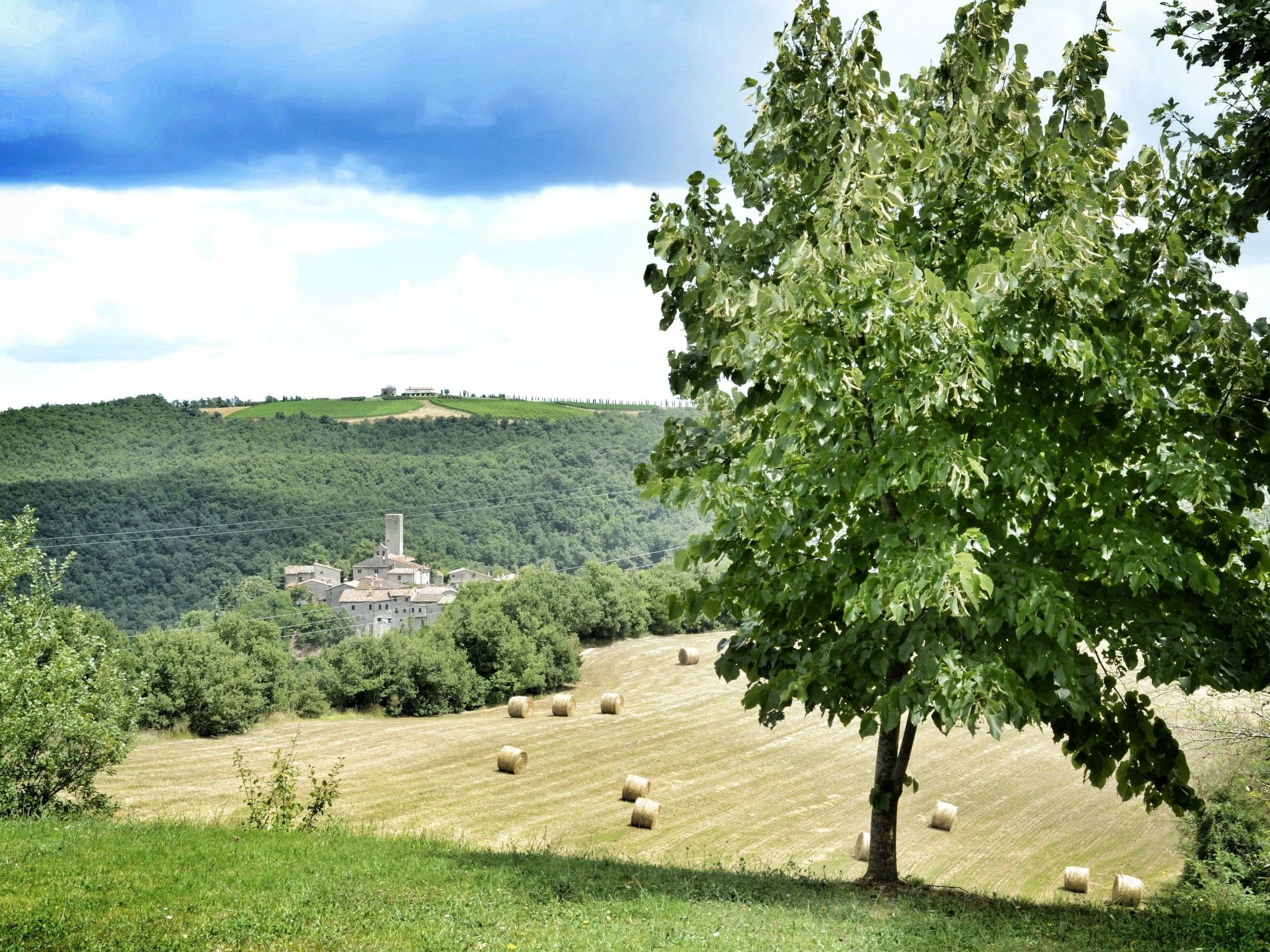 Das Walnusshaus-Dedans