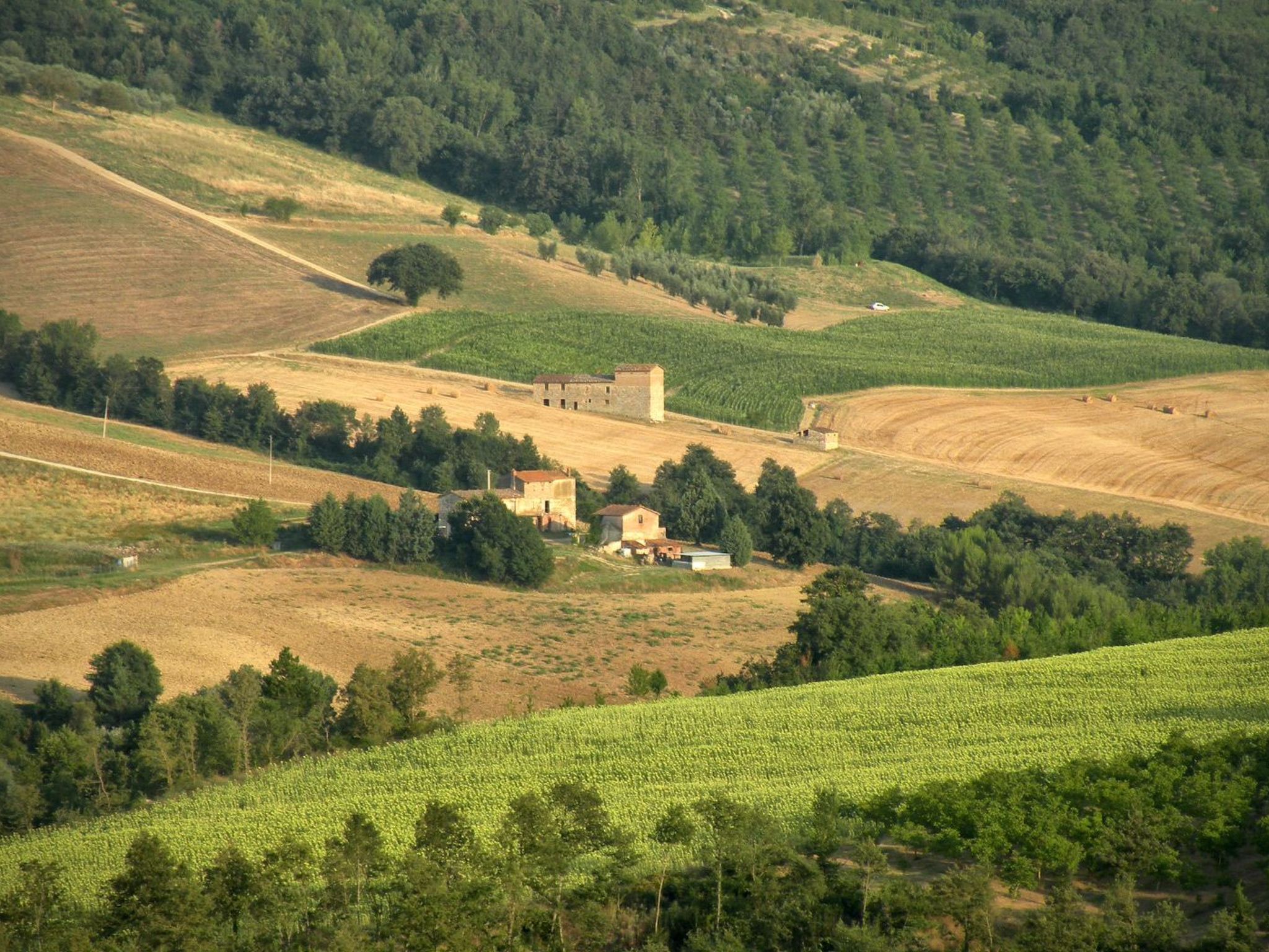 Das Walnusshaus-Dedans