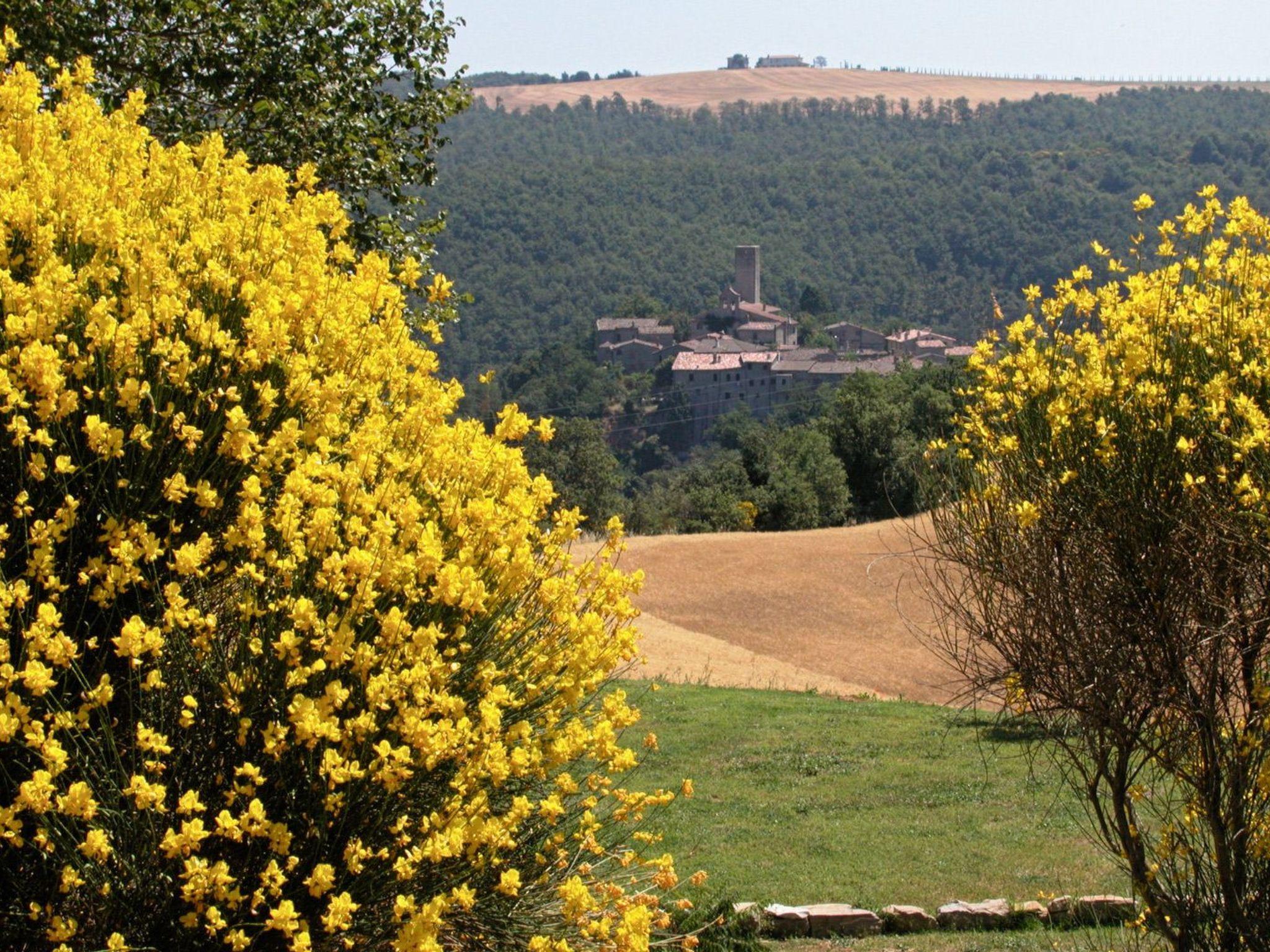 Das Walnusshaus-Dedans