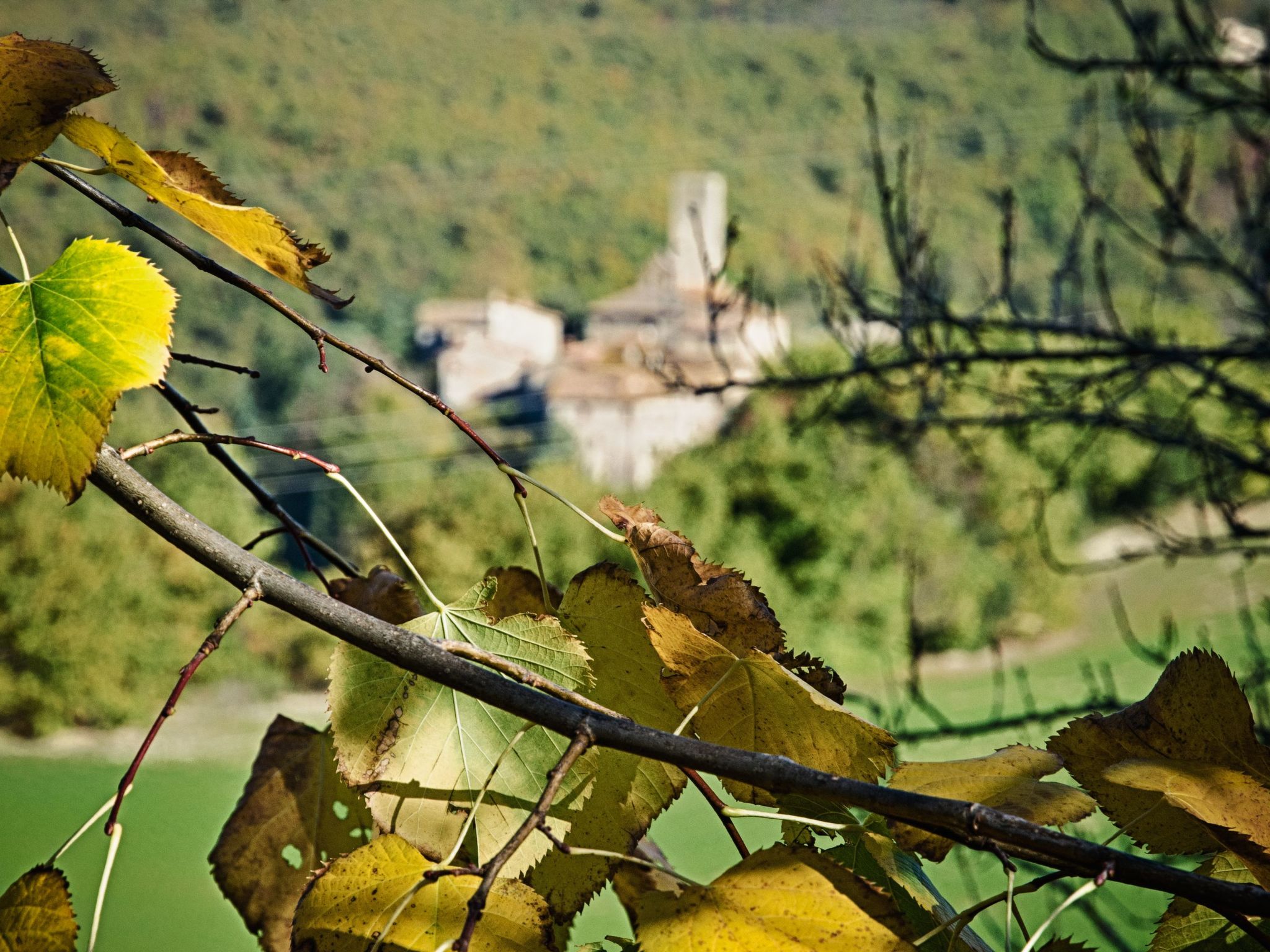 Das Walnusshaus-Dedans