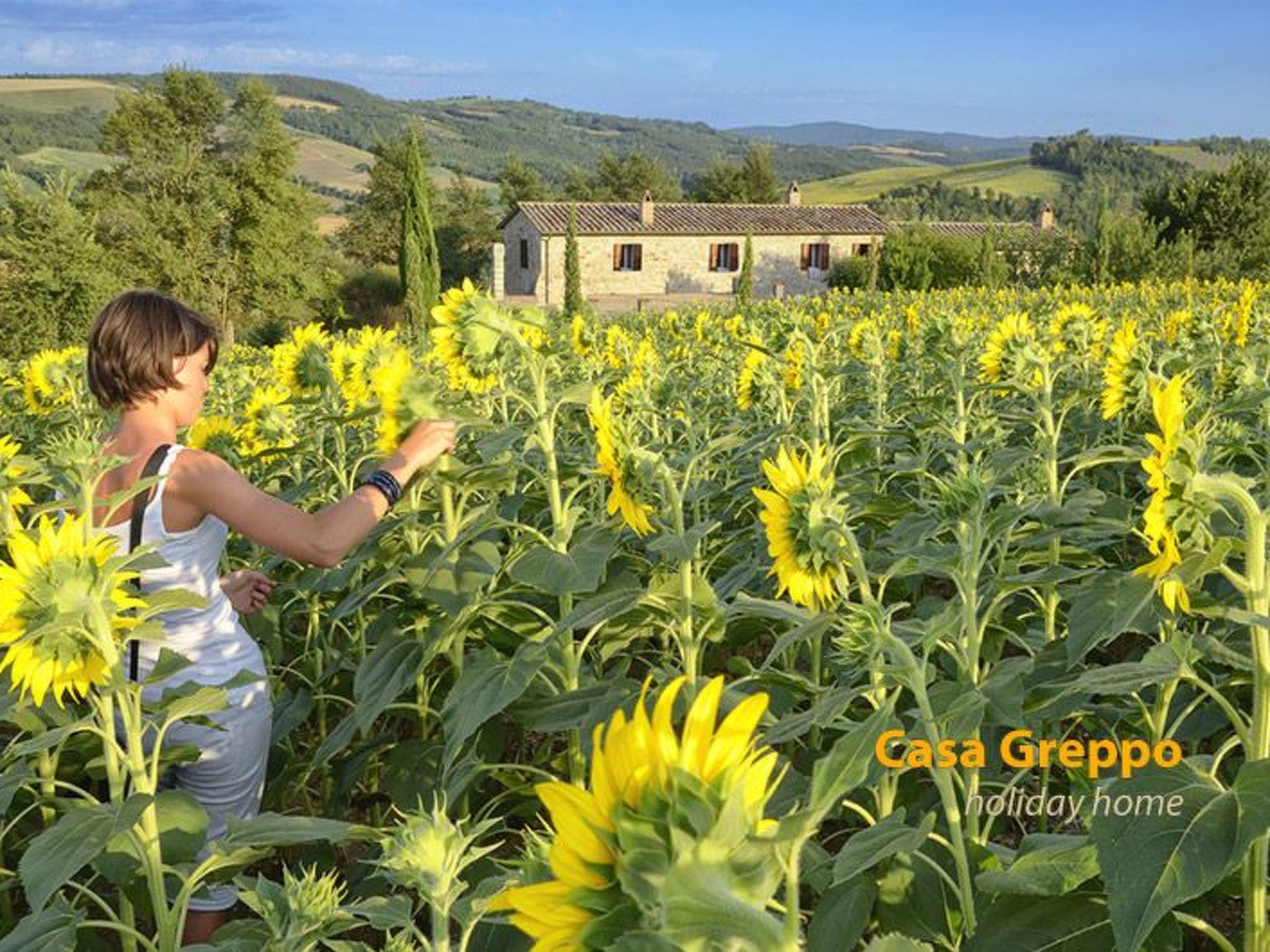 Das Walnusshaus-Dedans