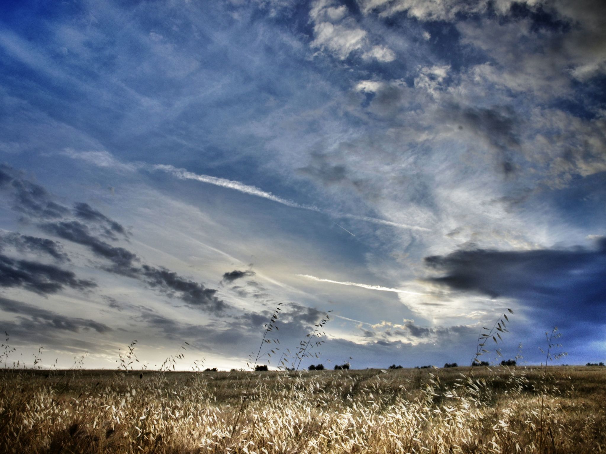 Das Walnusshaus-Dedans