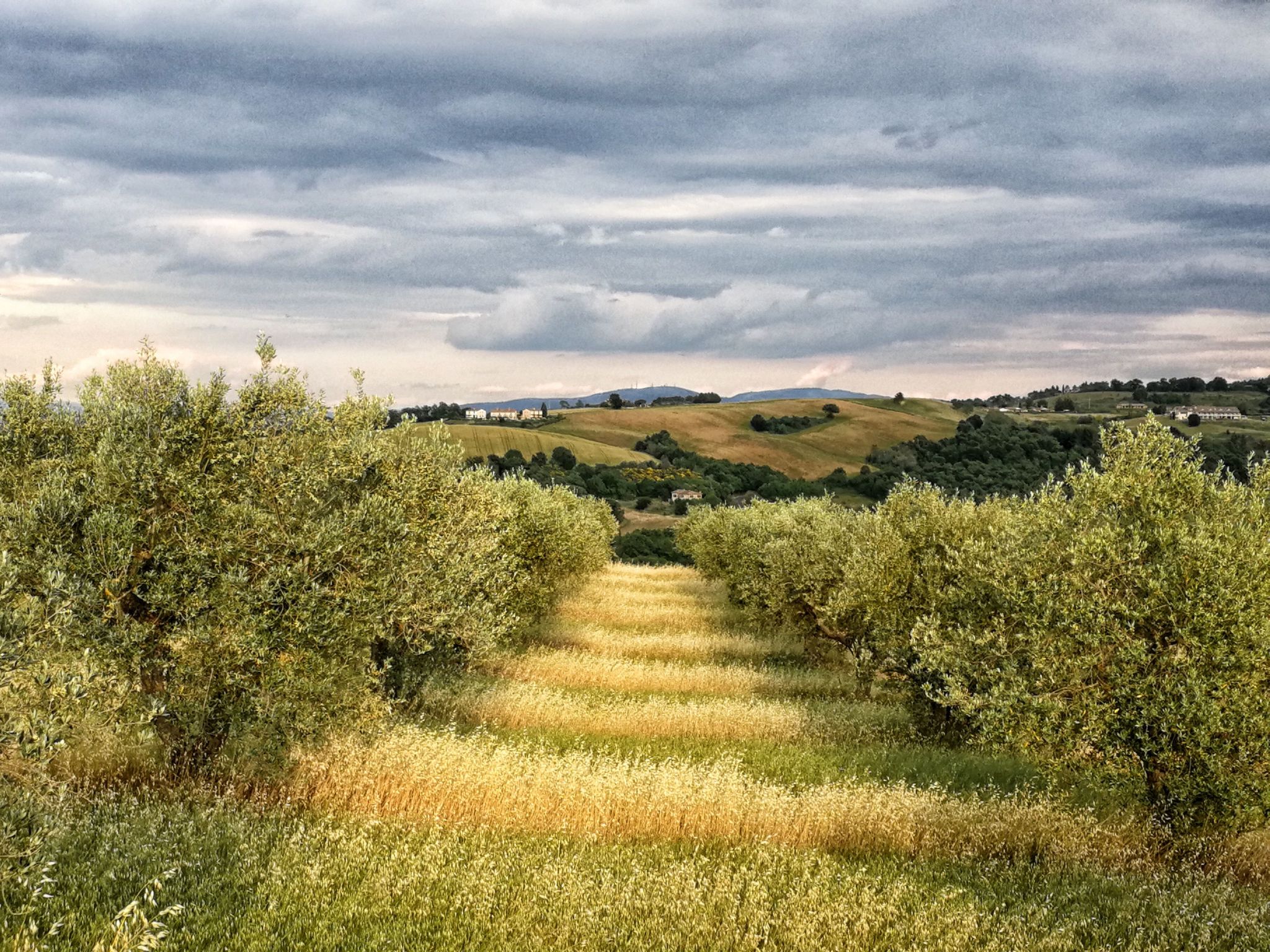 Das Walnusshaus-Dedans