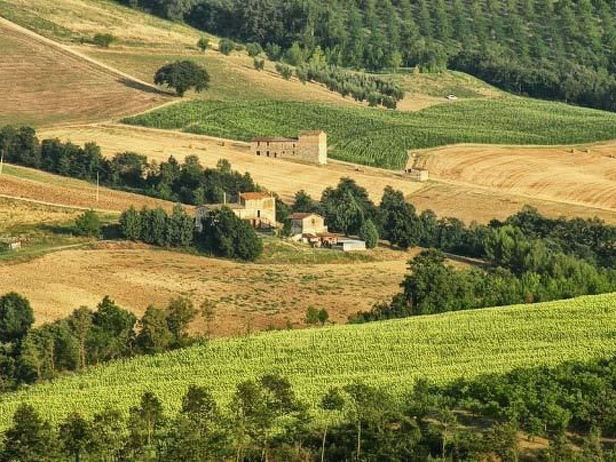 Il Mandorlo für 8 Personen-Binnen