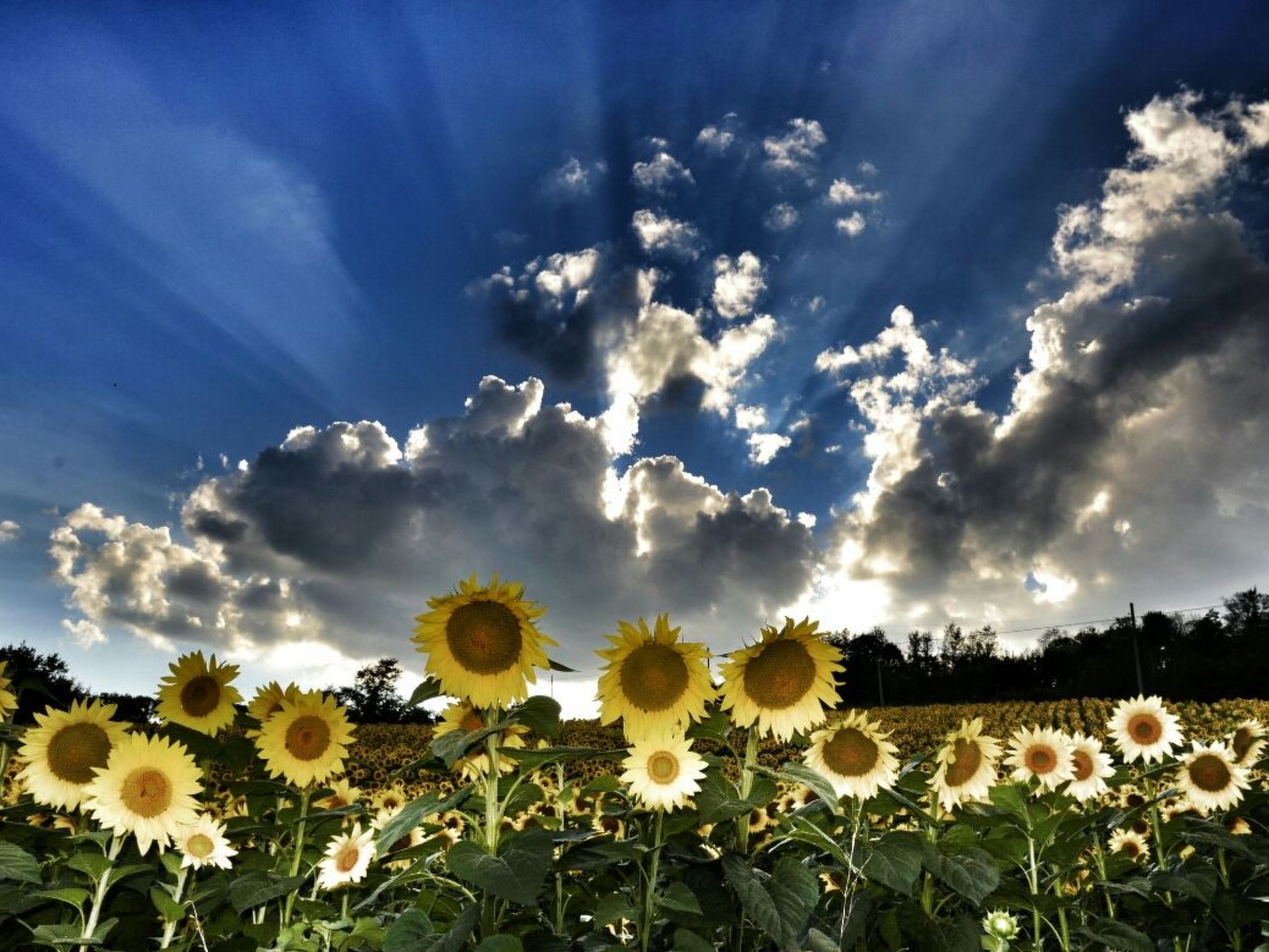 Il Mandorlo für 8 Personen-Binnen