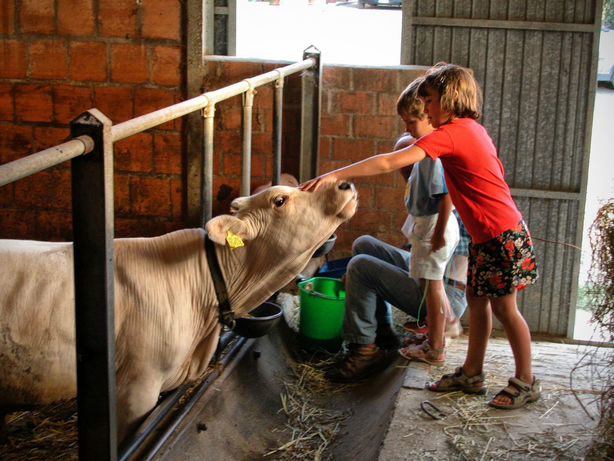 Il Mandorlo für 8 Personen-Binnen