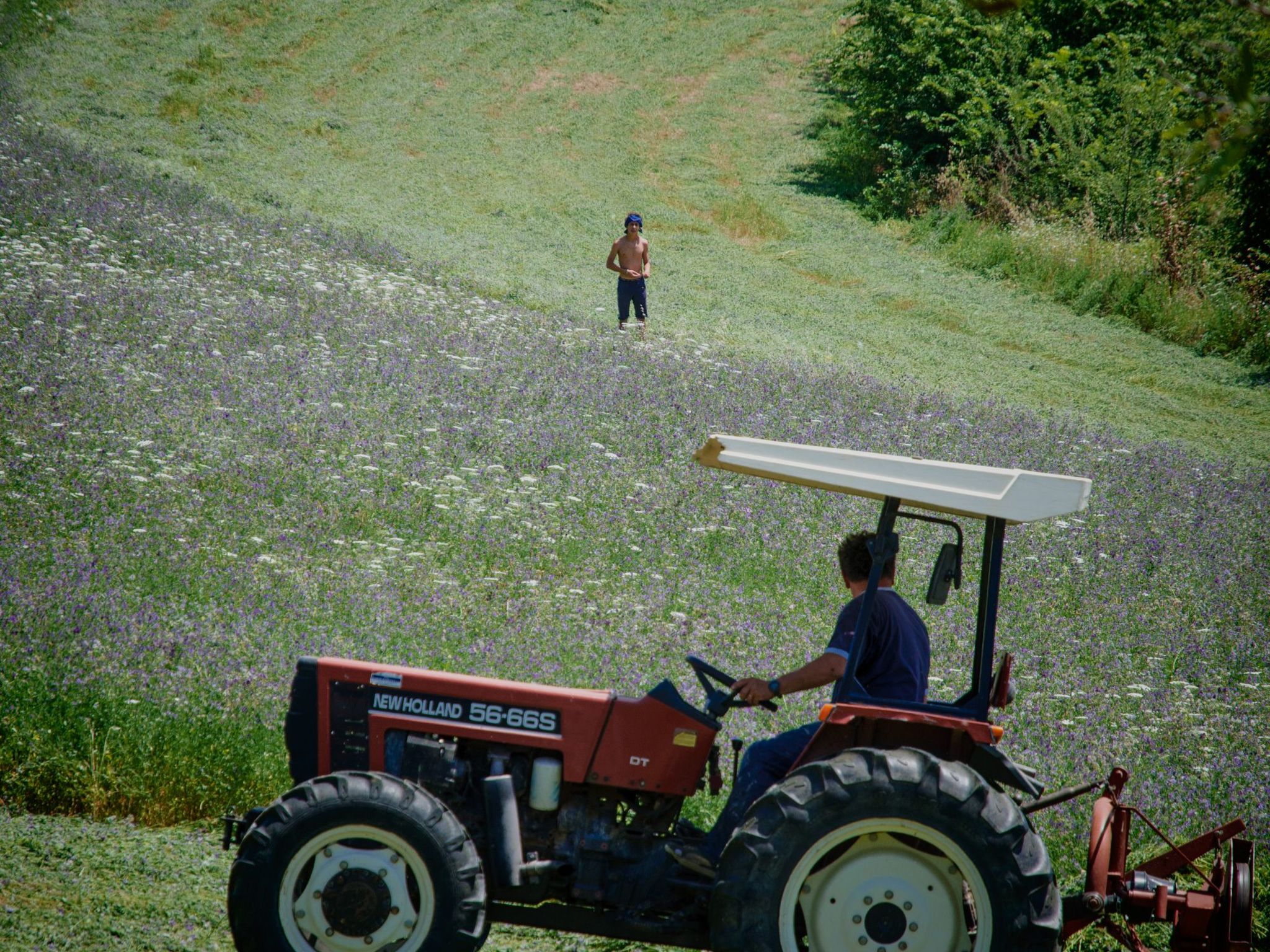 Il Mandorlo für 8 Personen-Binnen