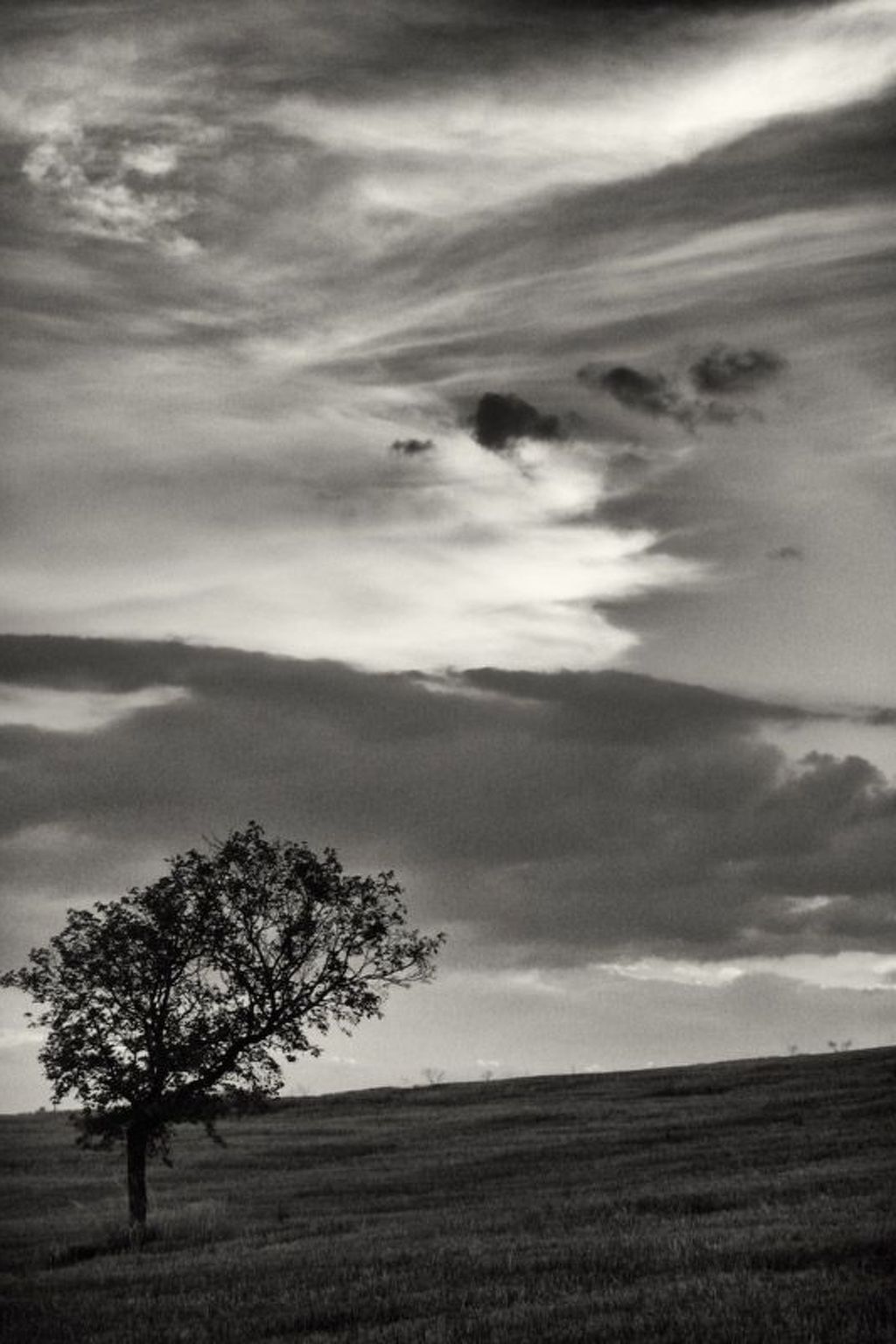 Il Mandorlo für 8 Personen-Binnen