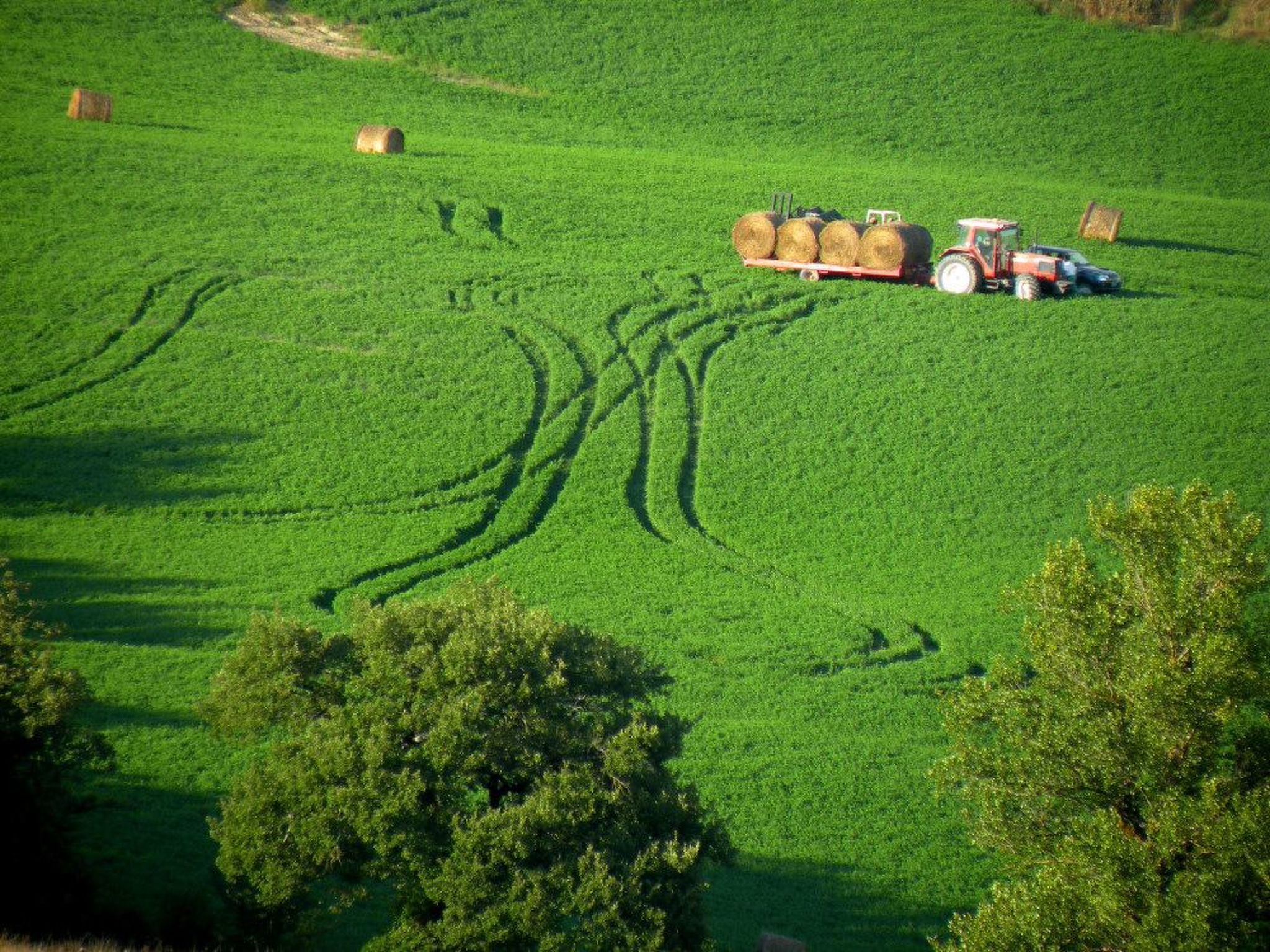 Il Mandorlo für 8 Personen-Binnen