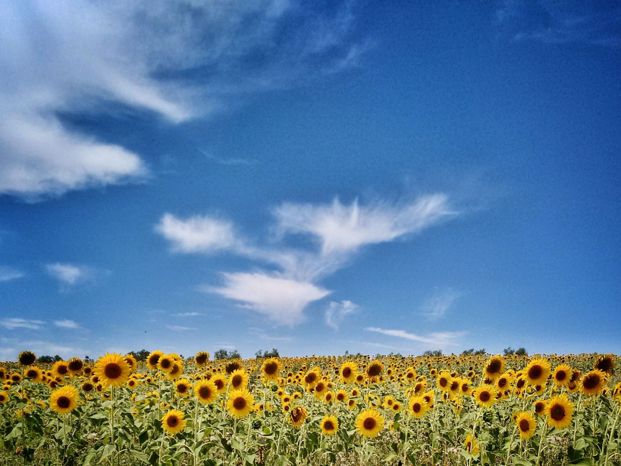 Il Mandorlo für 8 Personen-Binnen