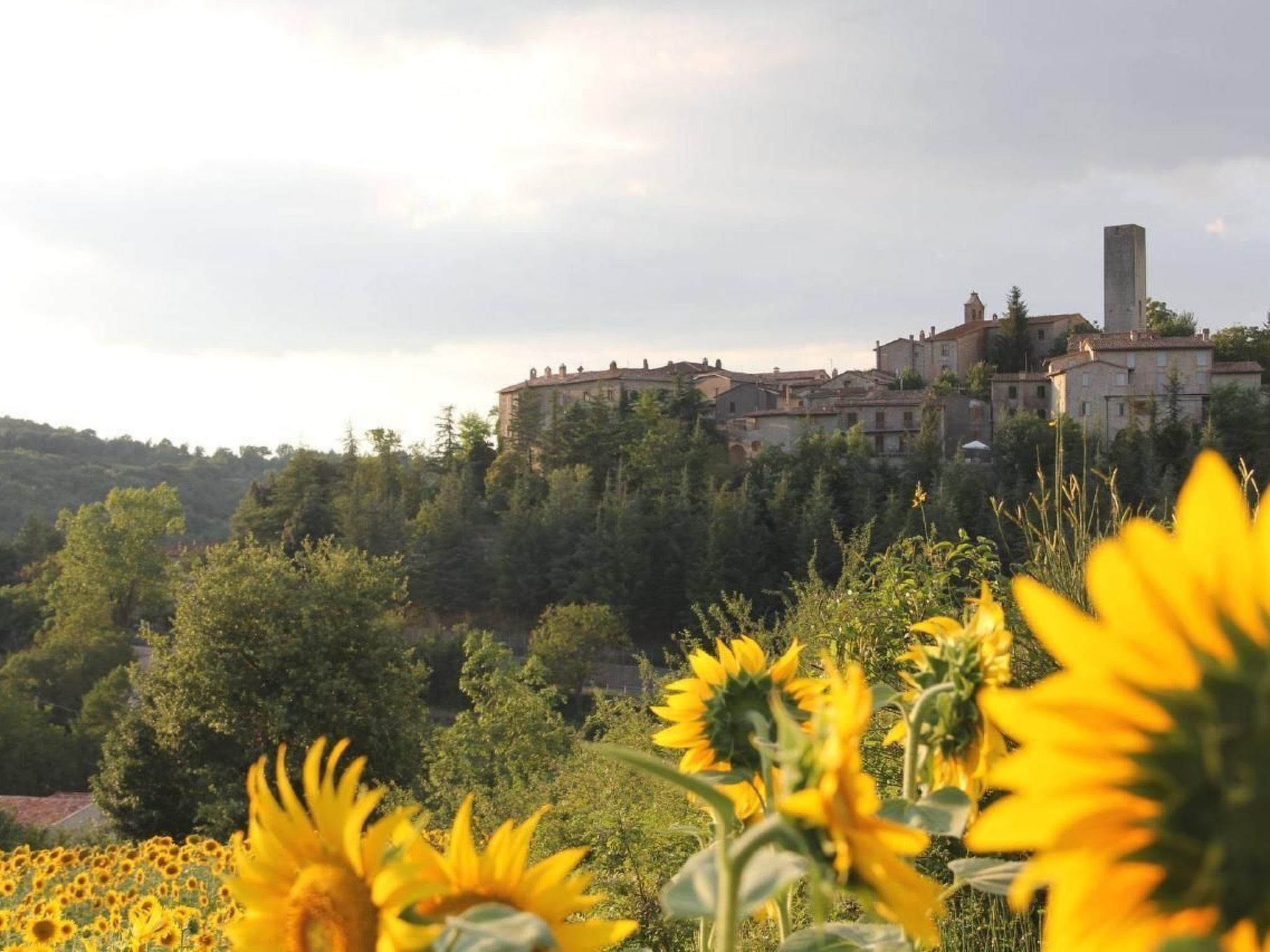 Villa mit privatem Spa und beheiztem Pool-Image-tags.info