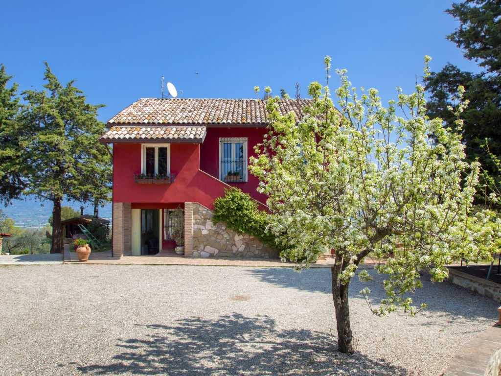 Ferienhaus La Letizia Ferienhaus in Italien