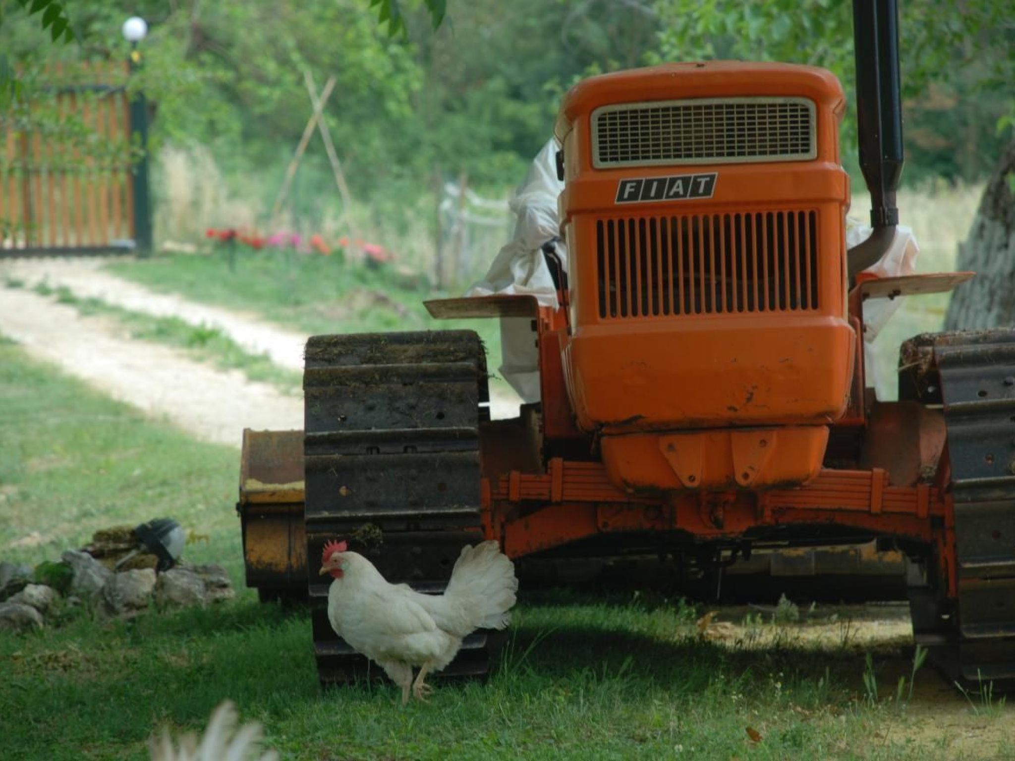 Unabhaengige Wohnung in Amelia mit Grill und Gar-Image-tags.info
