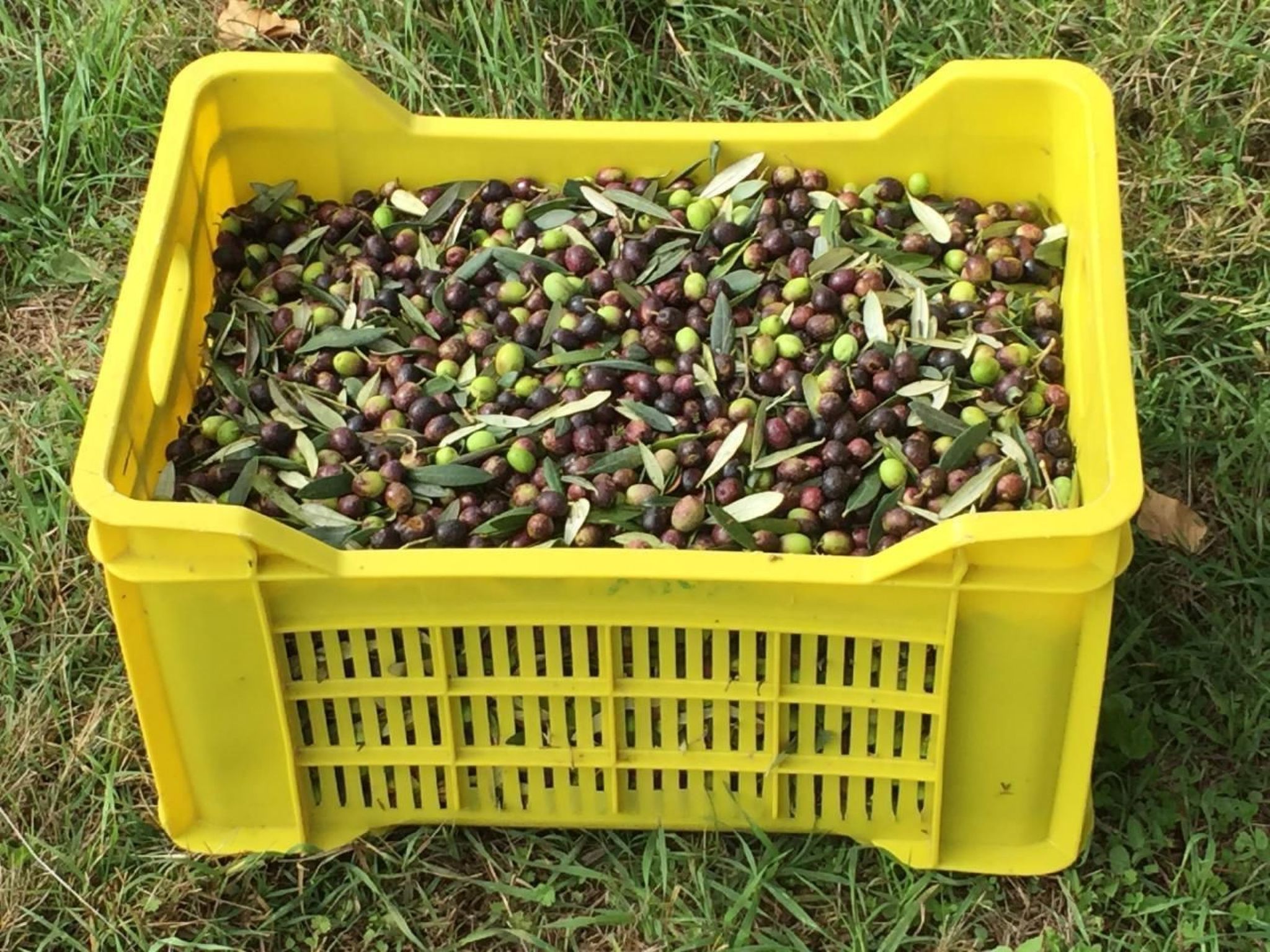 Unabhaengige Wohnung in Amelia mit Grill und Gar-Image-tags.info