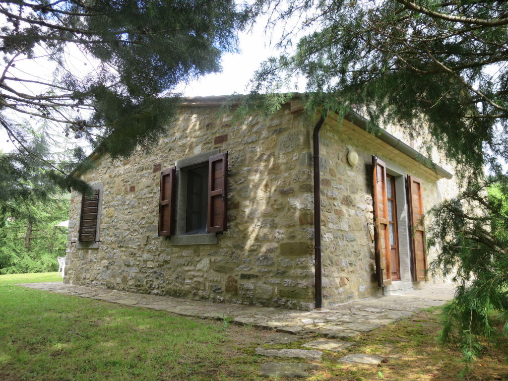 Bild 15
