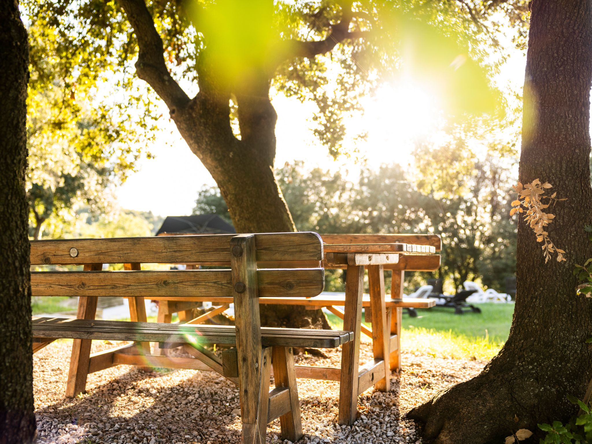 Historisches Bauernhaus mit Pool-Binnen