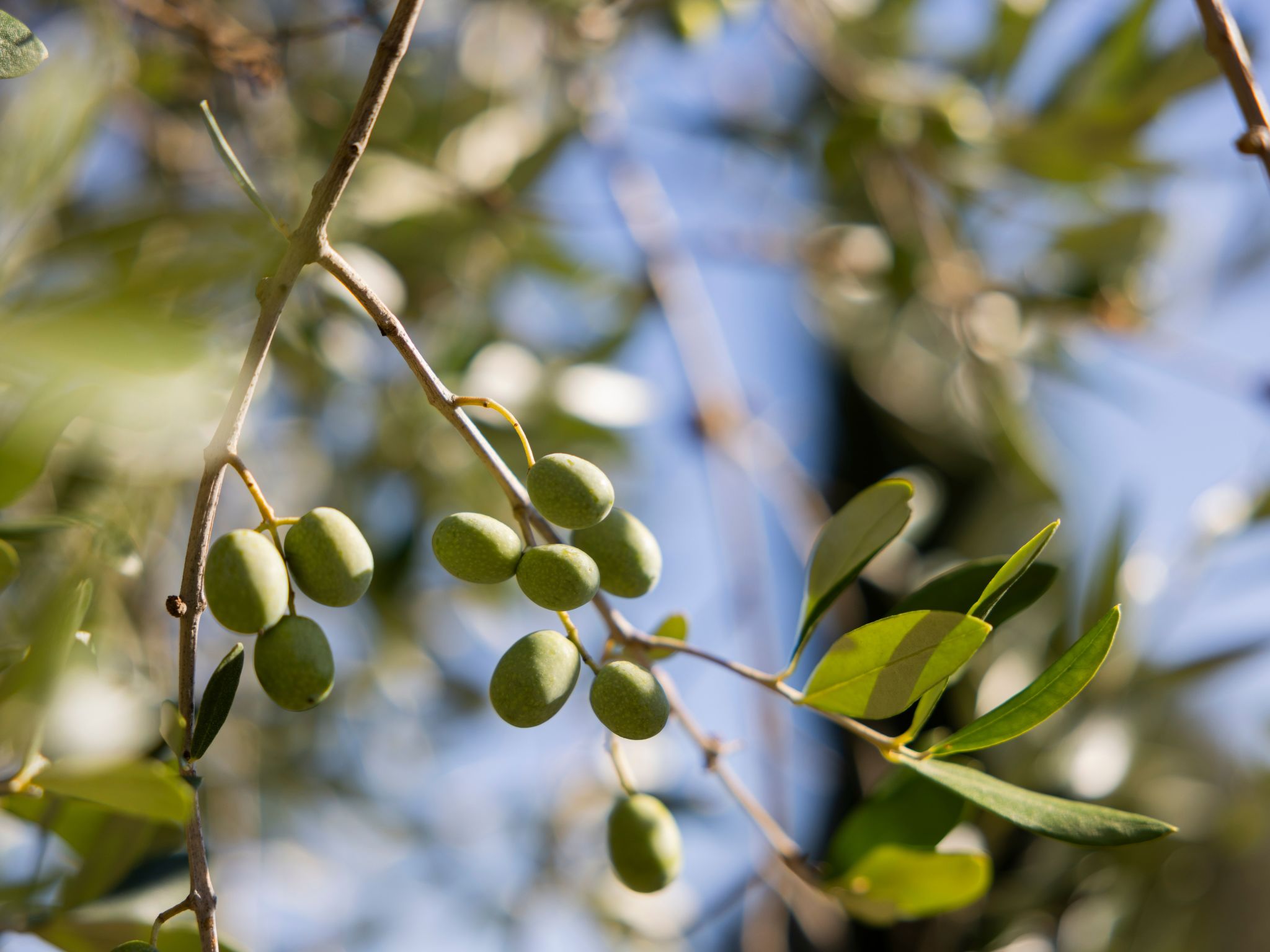 Landgut mit eigenem Parkplatz-Binnen