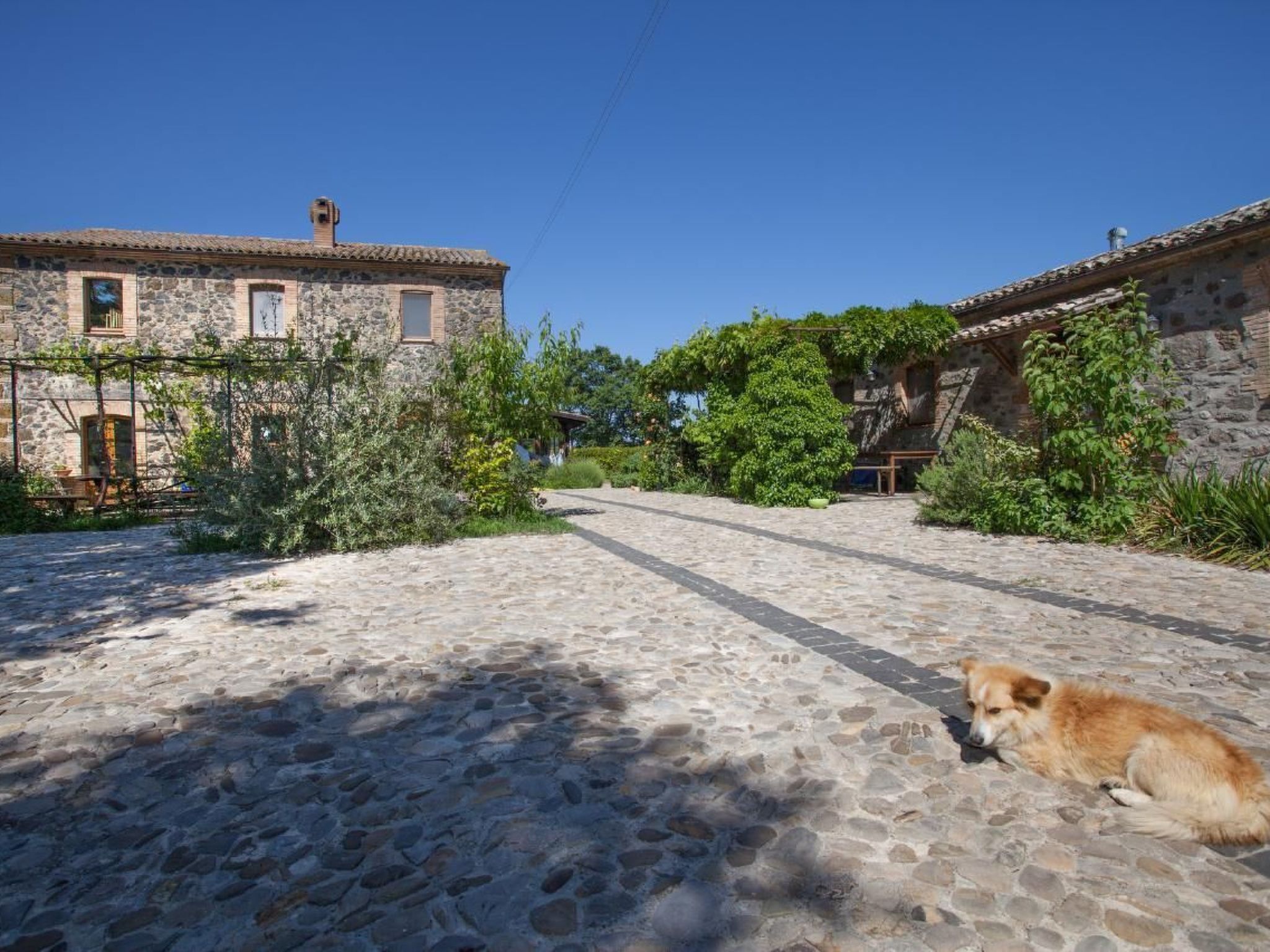 Ferienhaus in Castel Giorgio (Italien) und 1 Hund erlaubt