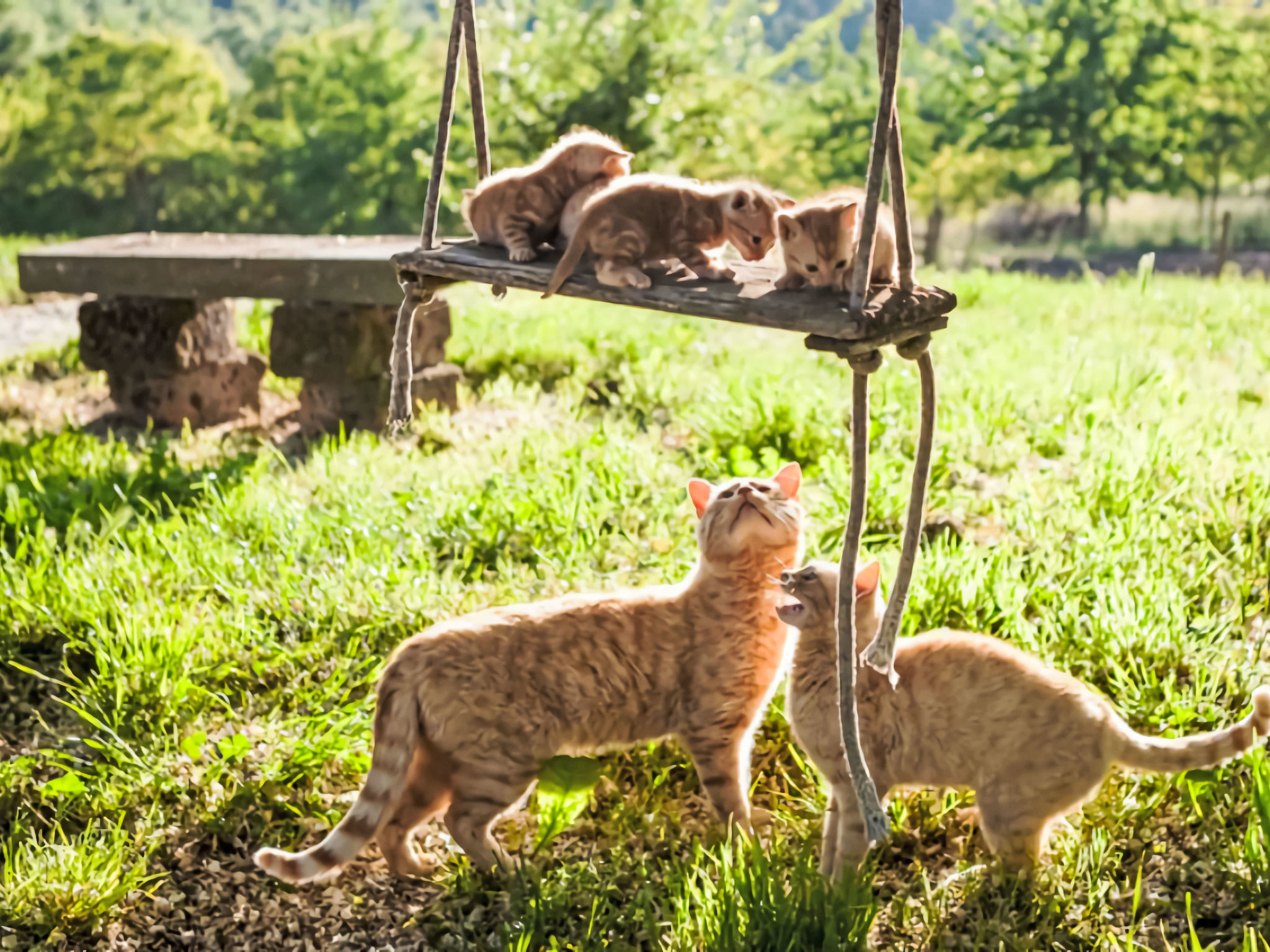 Noce - Outside