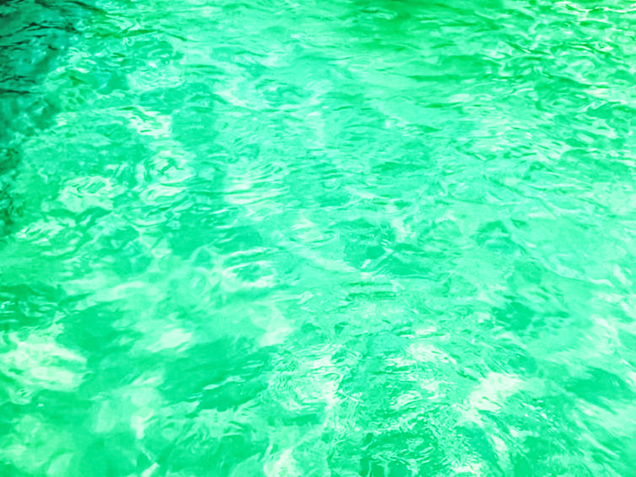 Appartement Alice – Piscine extérieure, photo 24 sur 24