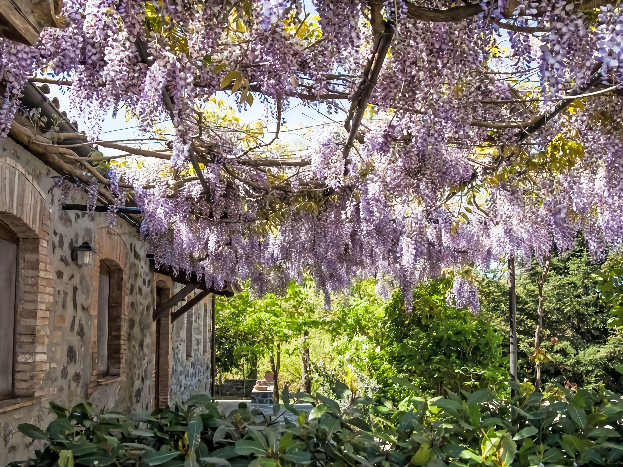 Casa Anita - Outside
