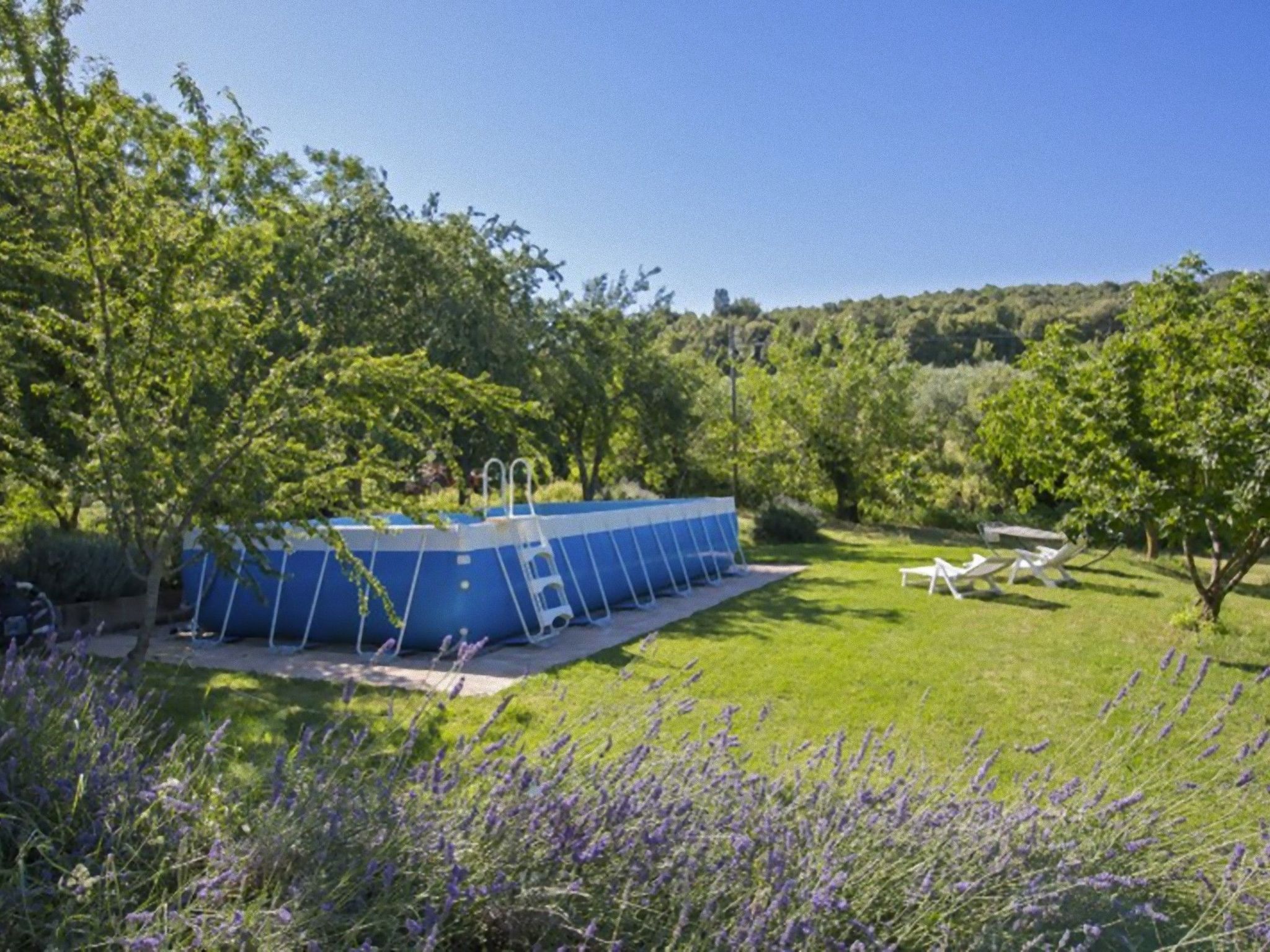 Suite mit Gartenblick-Binnen