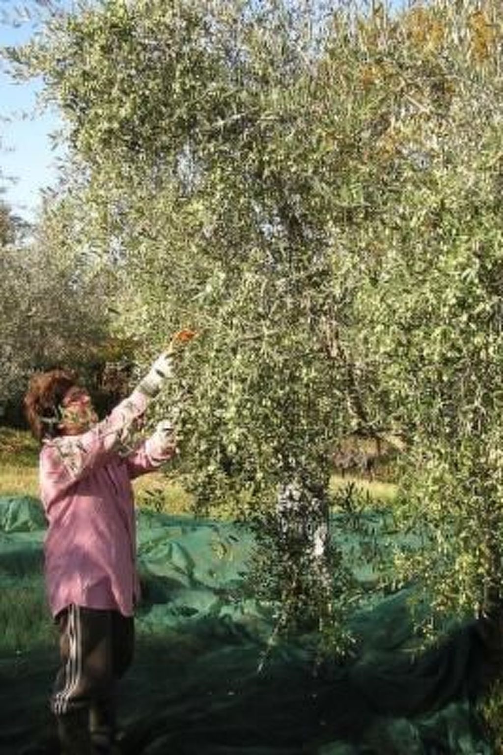 Ihr Zuhause in der Ferne-Binnen