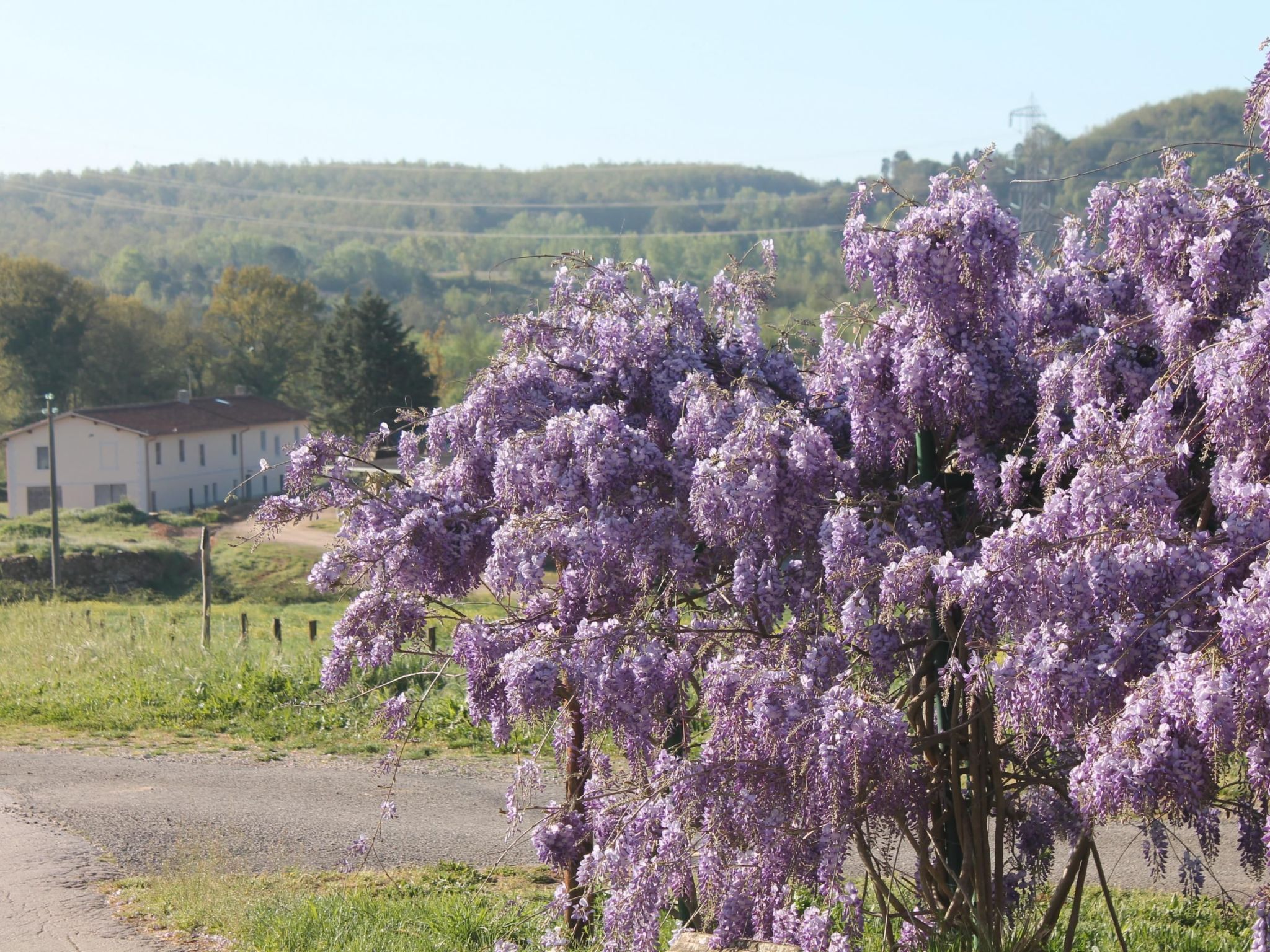 Haus in Civitella Paganico mit möbliertem Garten-Binnen